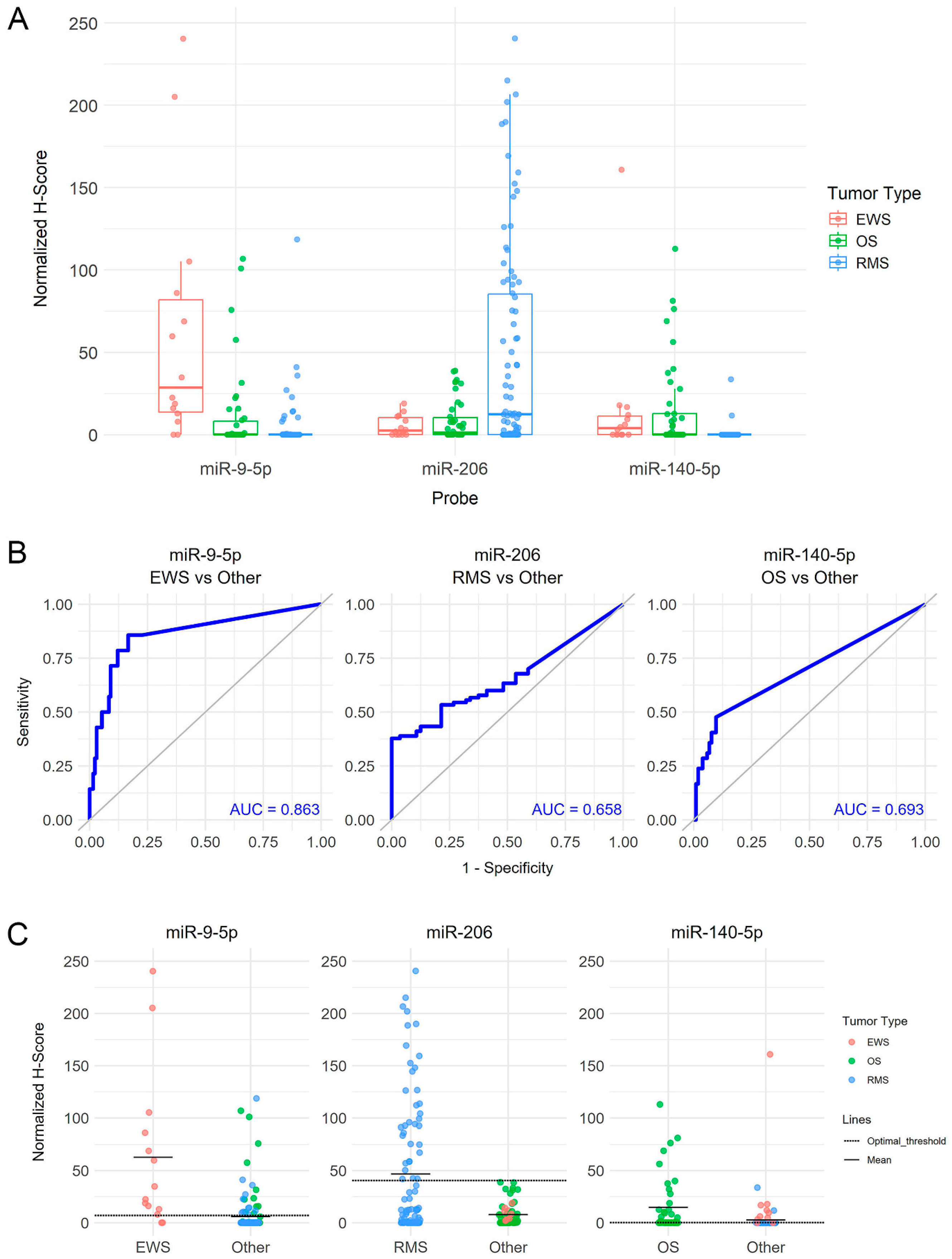 Cancers 17 03791 g004