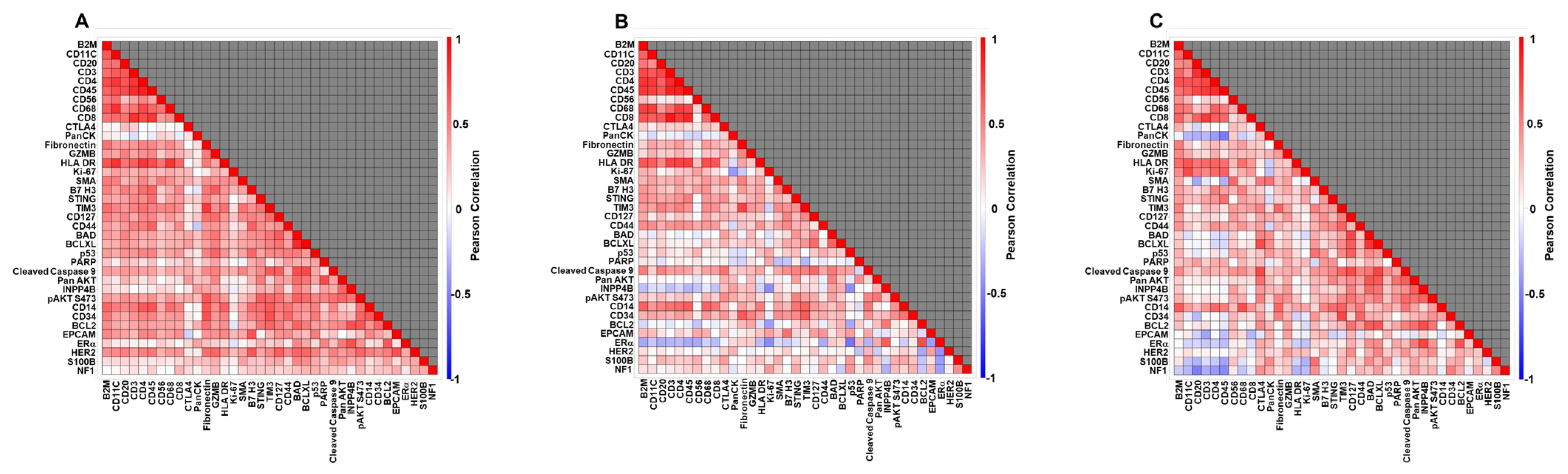 Cancers 17 03797 g001