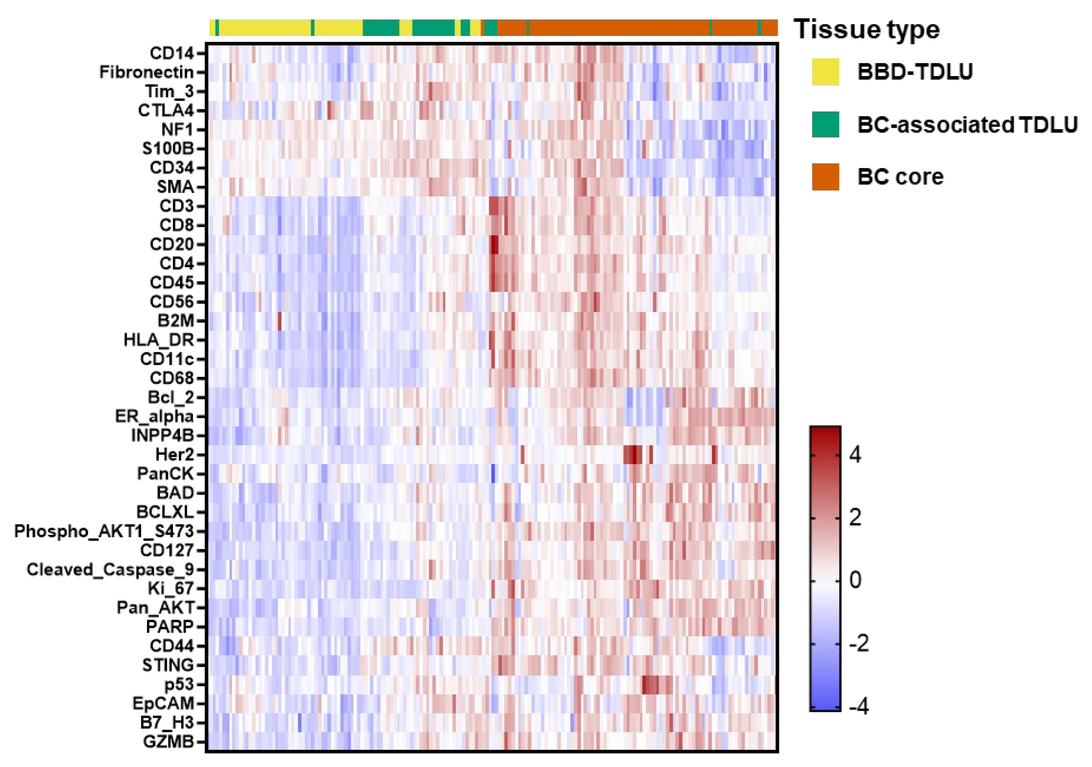 Cancers 17 03797 g002