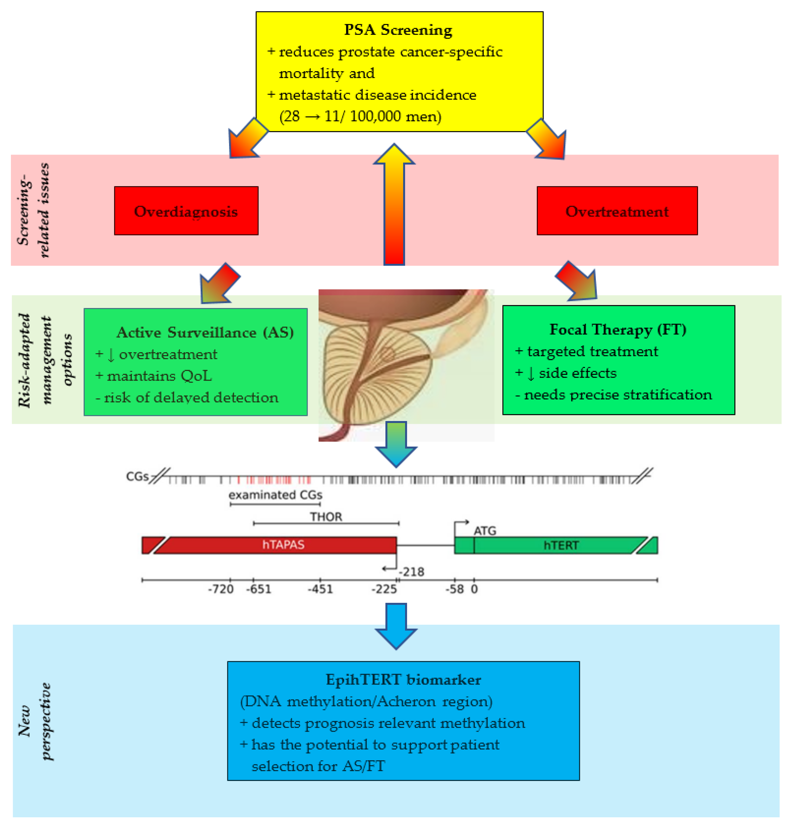 Cancers 17 03799 g001