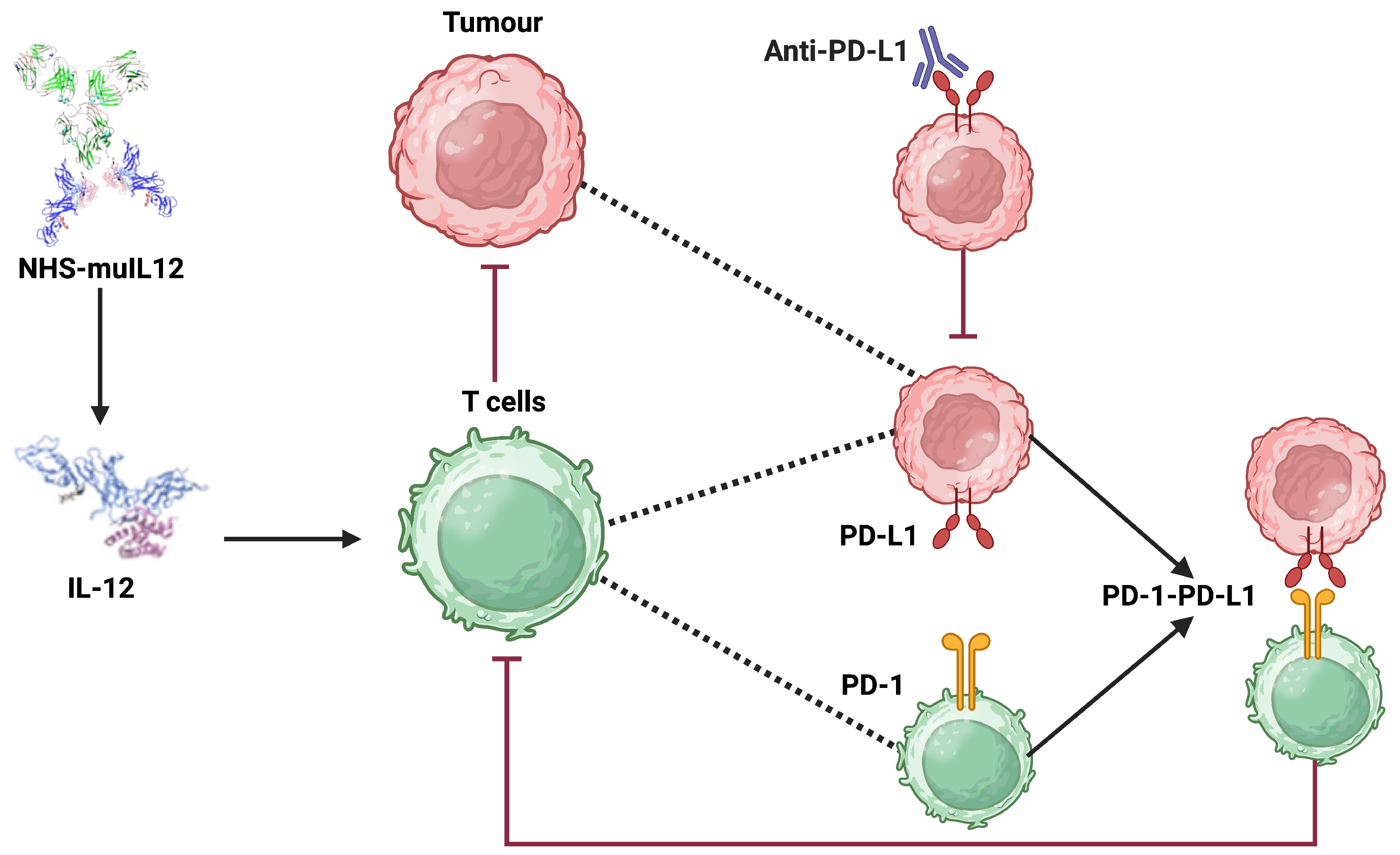 Cancers 17 03803 g001