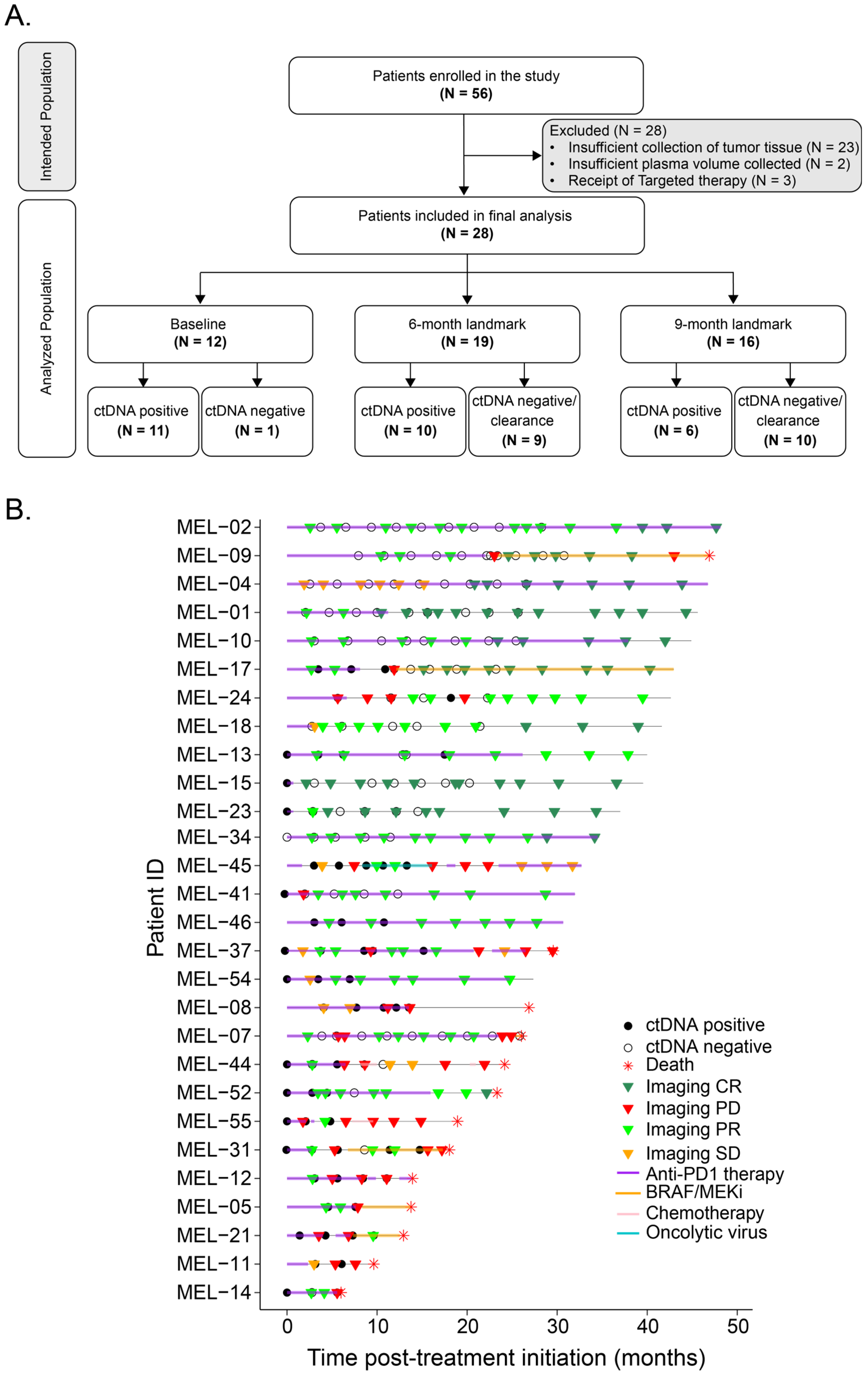 Cancers 17 03804 g001 Cancers 17 03804 g001