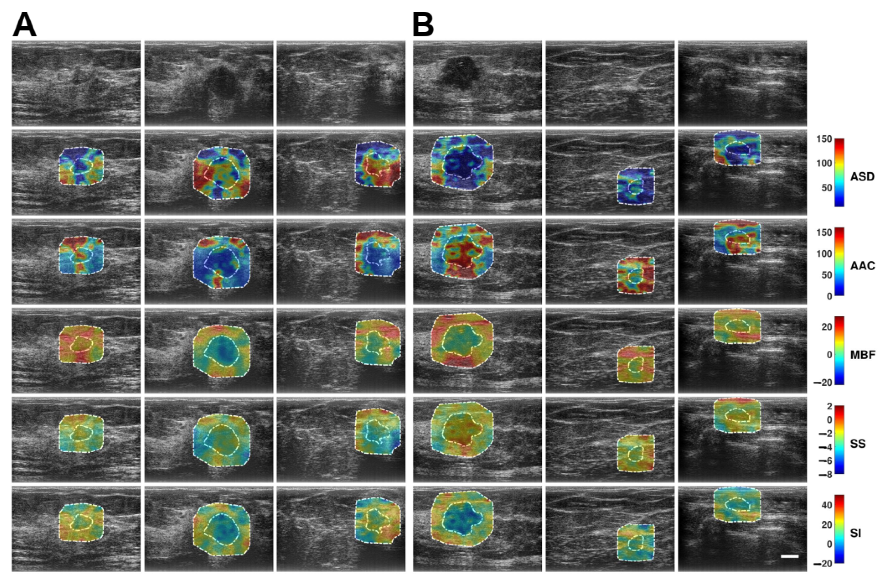 Cancers 17 03810 g002