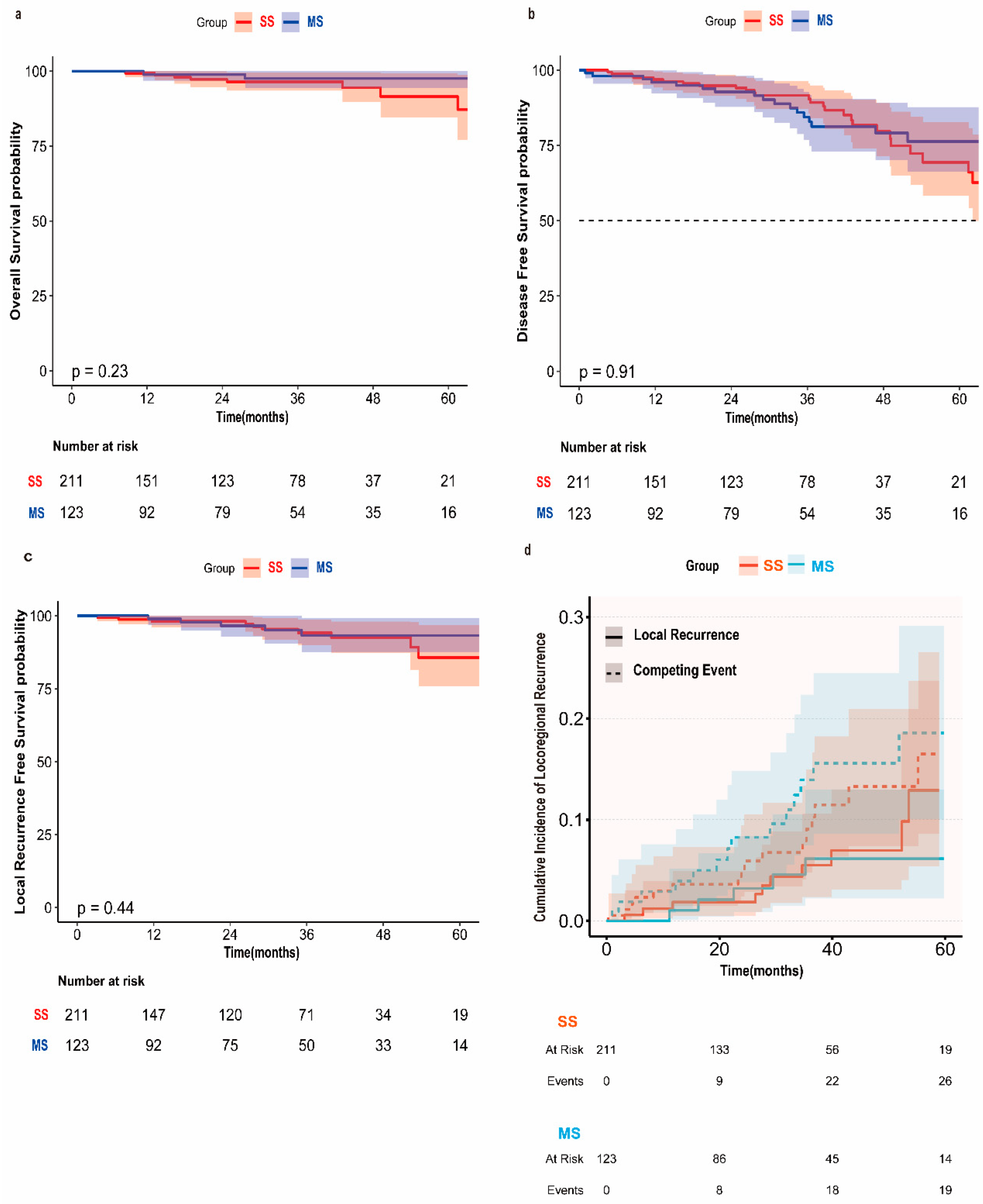 Cancers 17 03814 g003