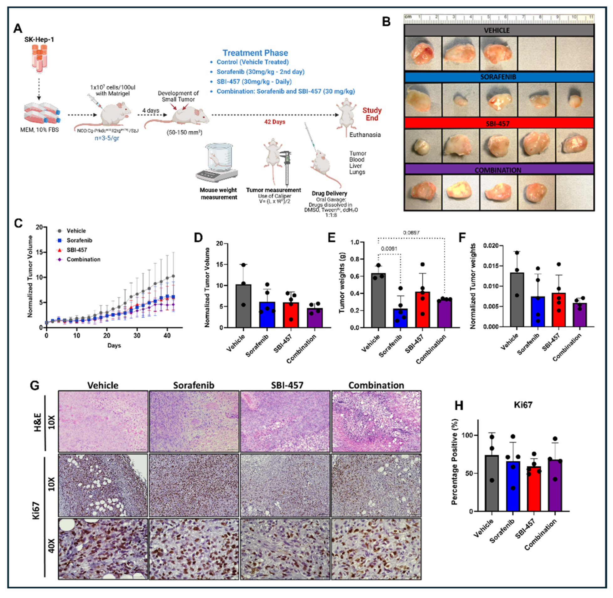 Cancers 17 03818 g001 Cancers 17 03818 g001