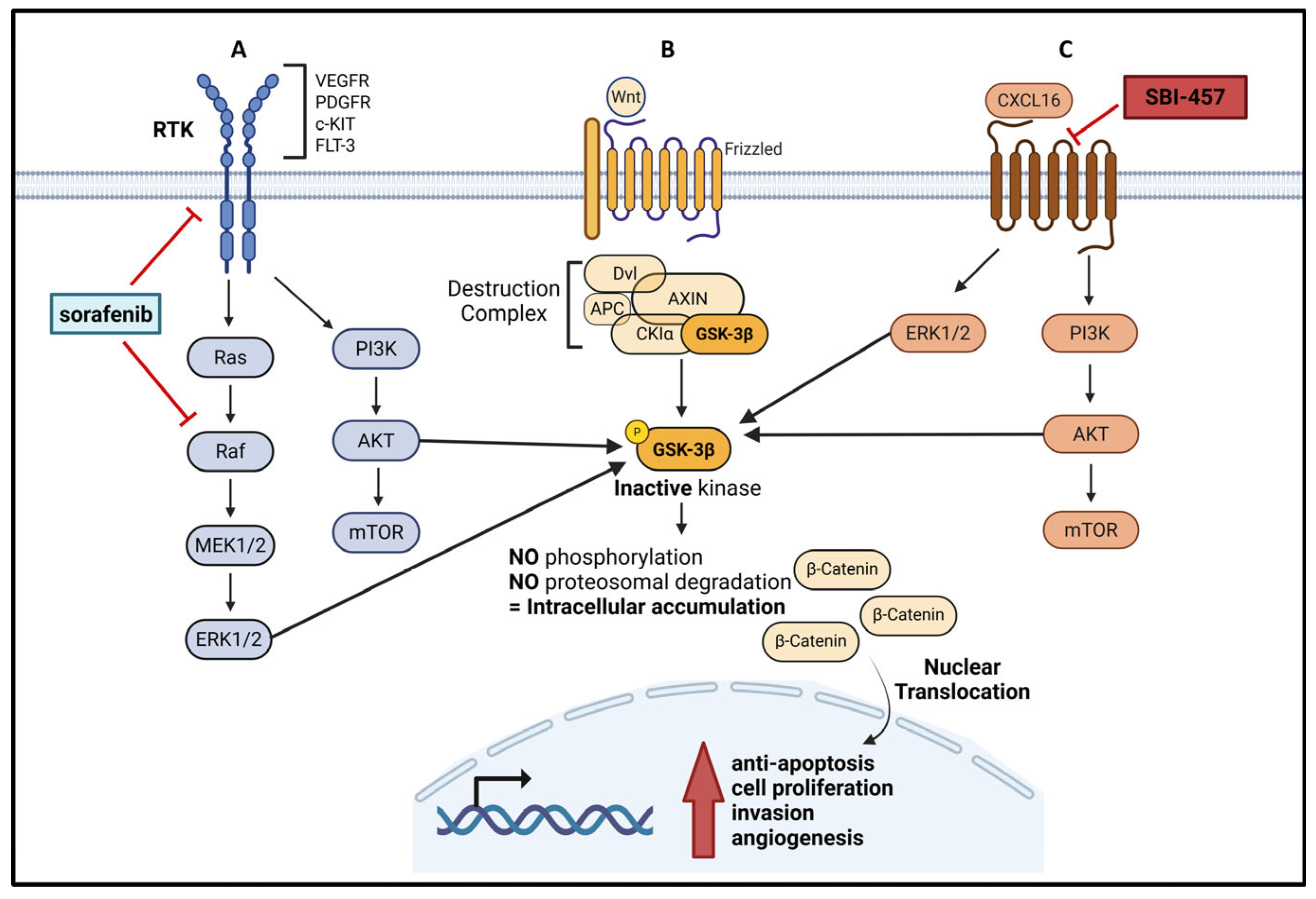 Cancers 17 03818 sch001 Cancers 17 03818 sch001