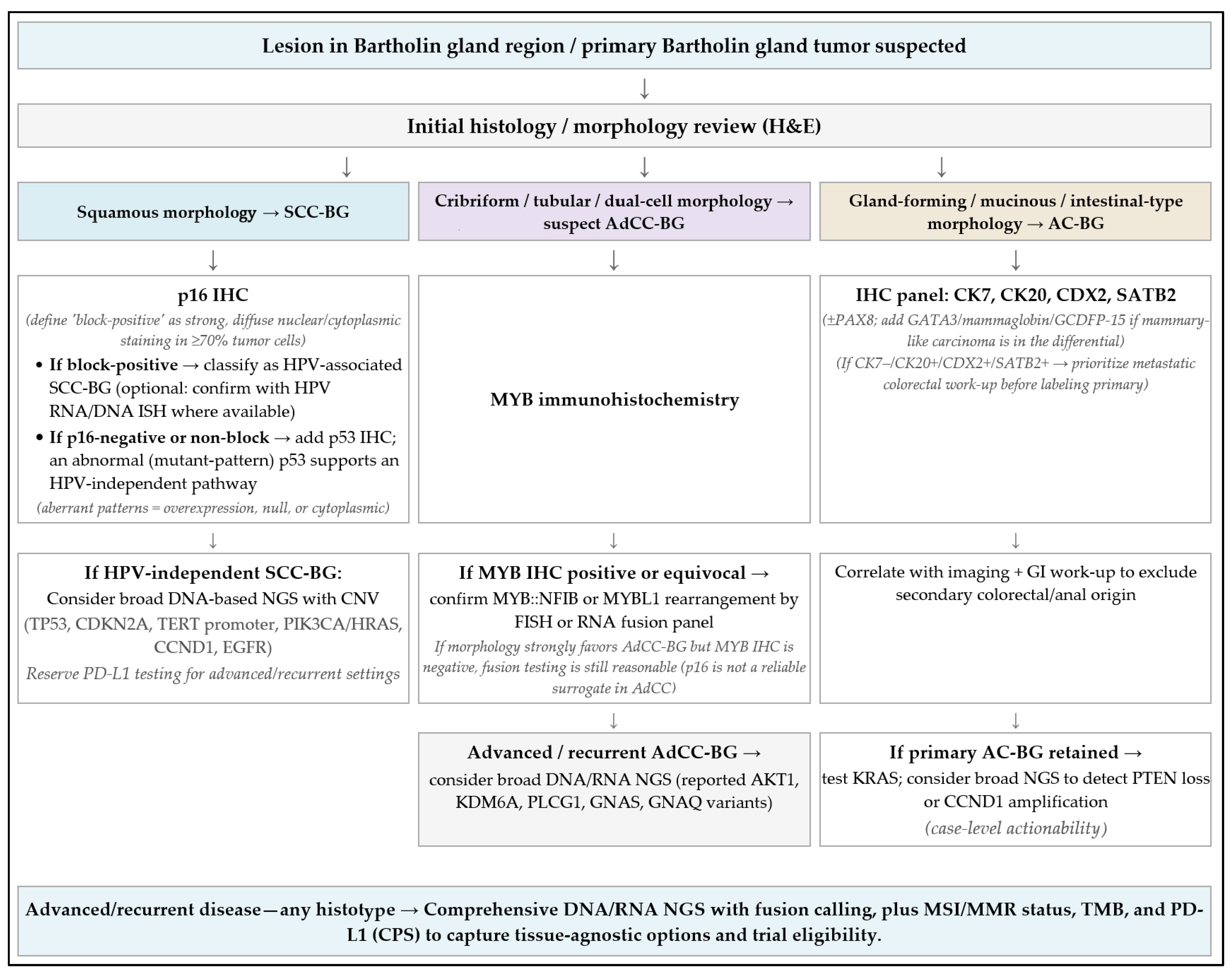 Cancers 17 03819 g005