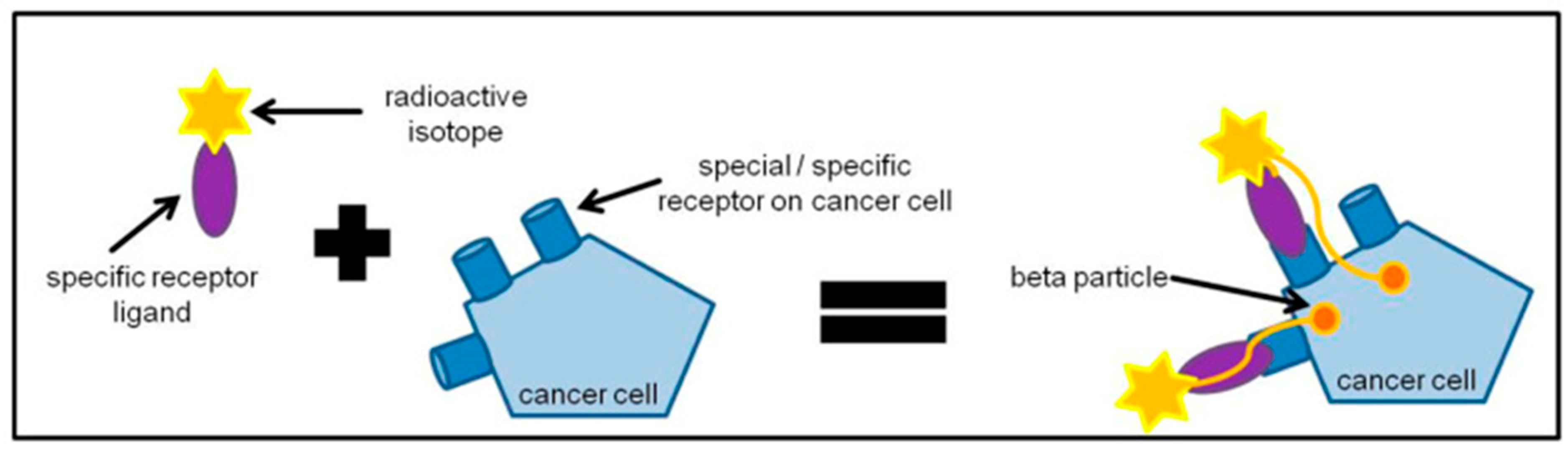 Cancers 17 03821 g001 Cancers 17 03821 g001