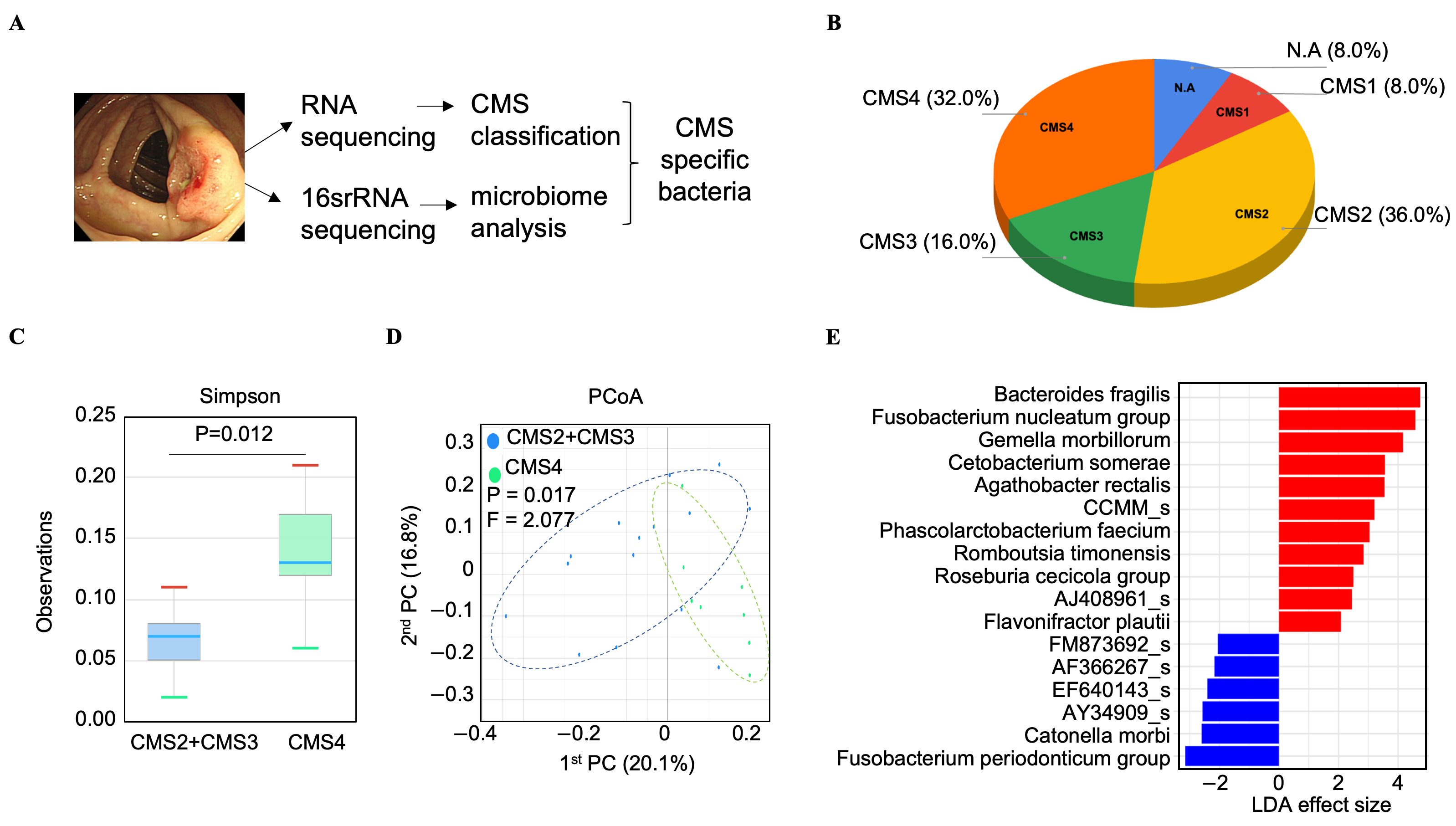 Cancers 17 03822 g001