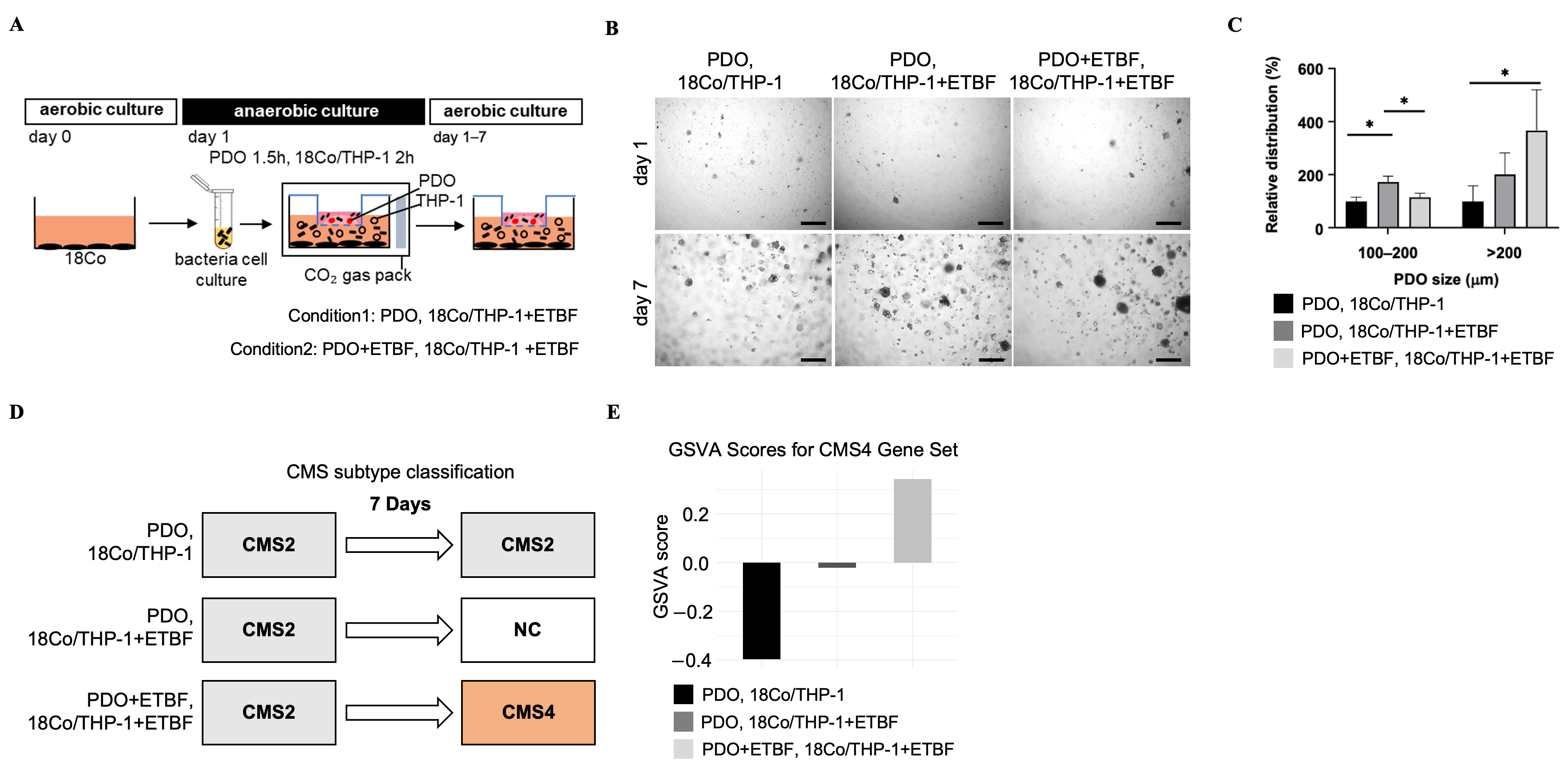 Cancers 17 03822 g003