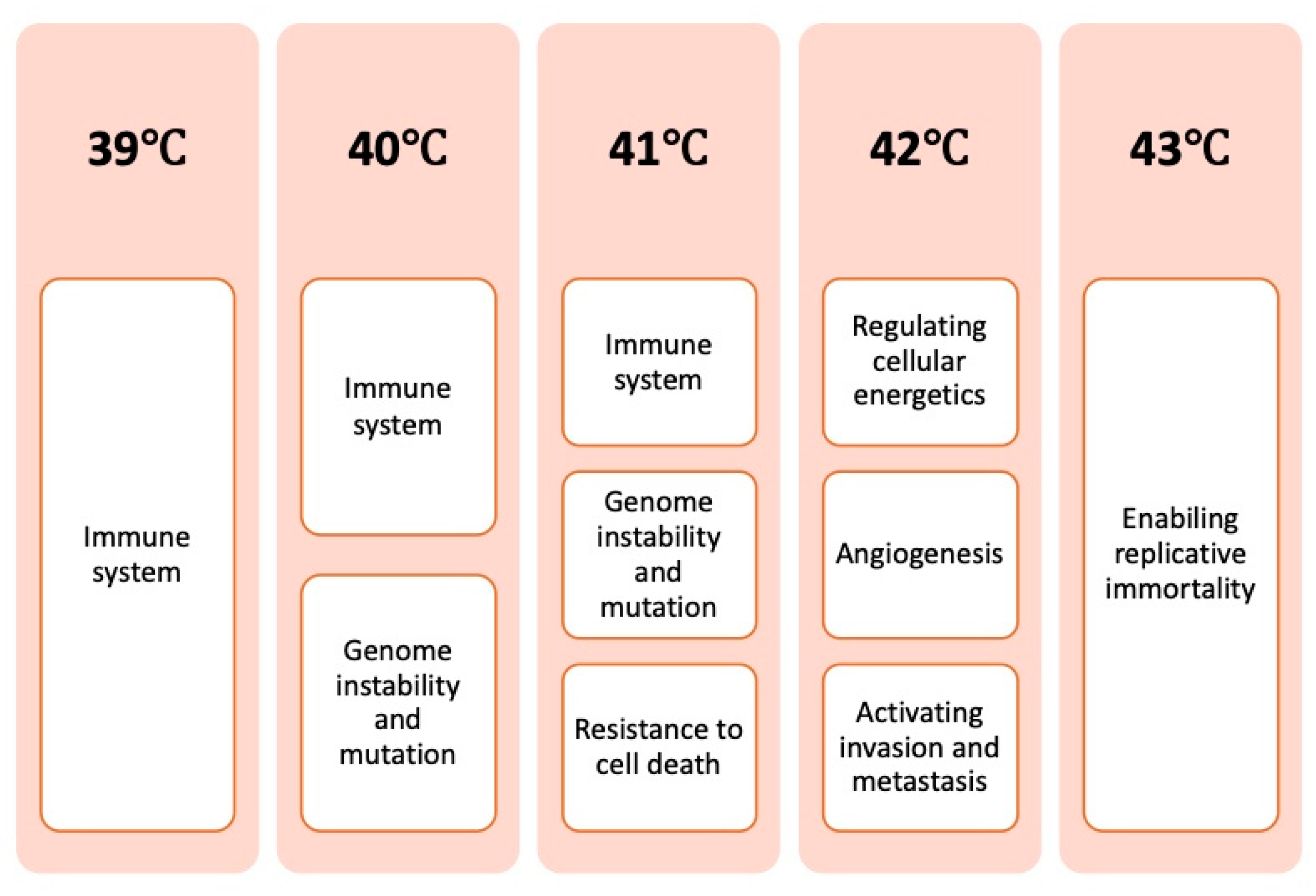 Cancers 17 03824 g002