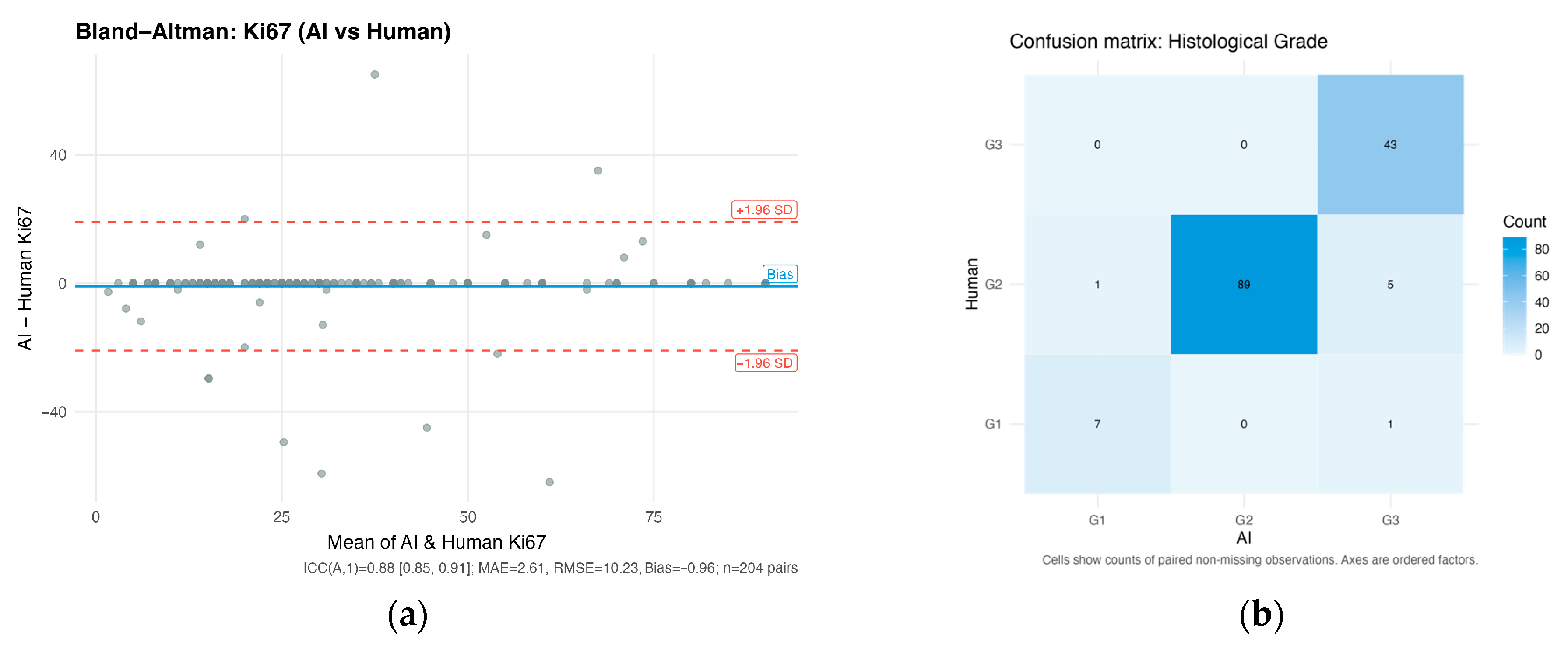 Cancers 17 03836 g001a