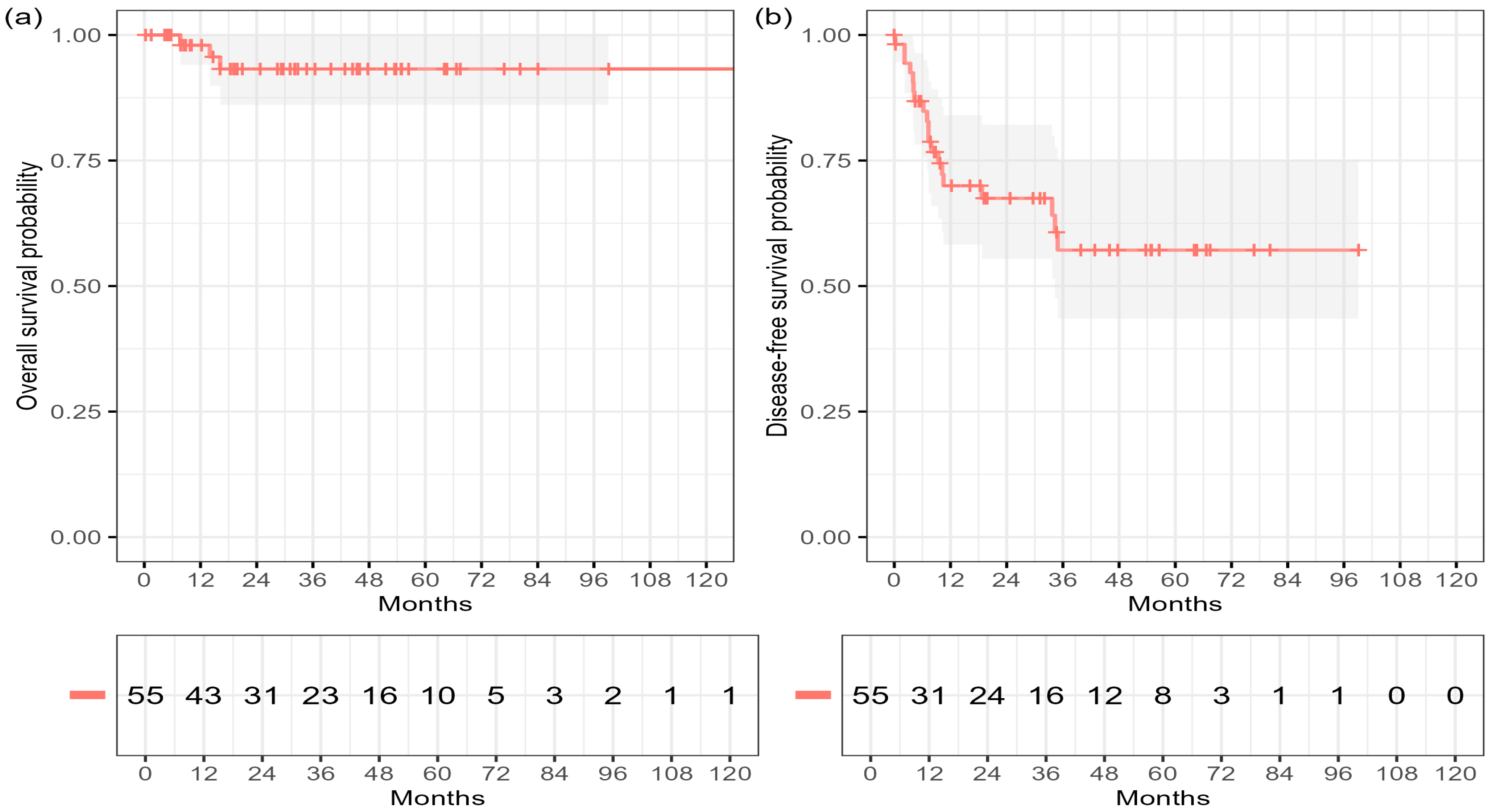 Cancers 17 03838 g001