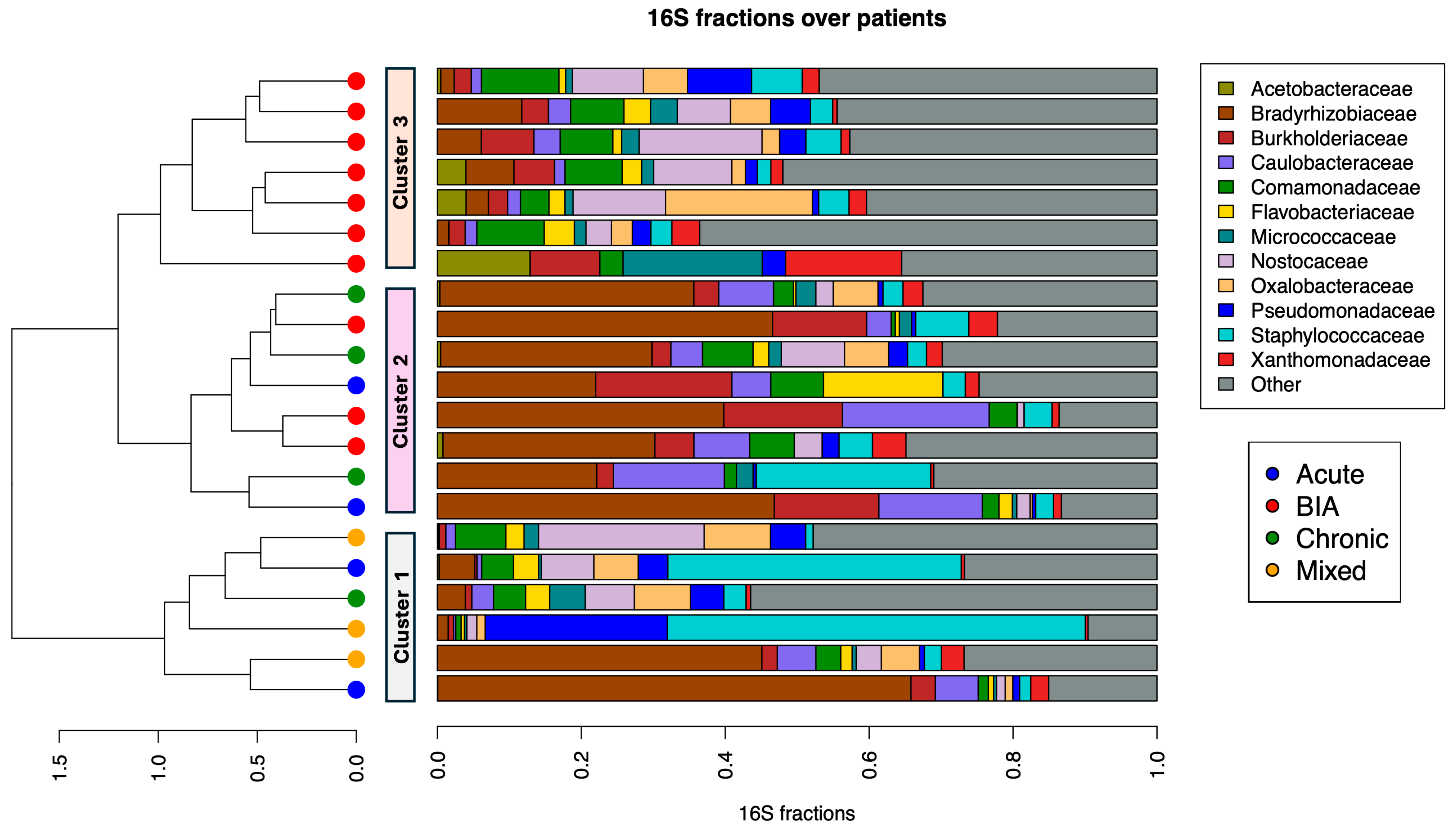 Cancers 17 03839 g001b