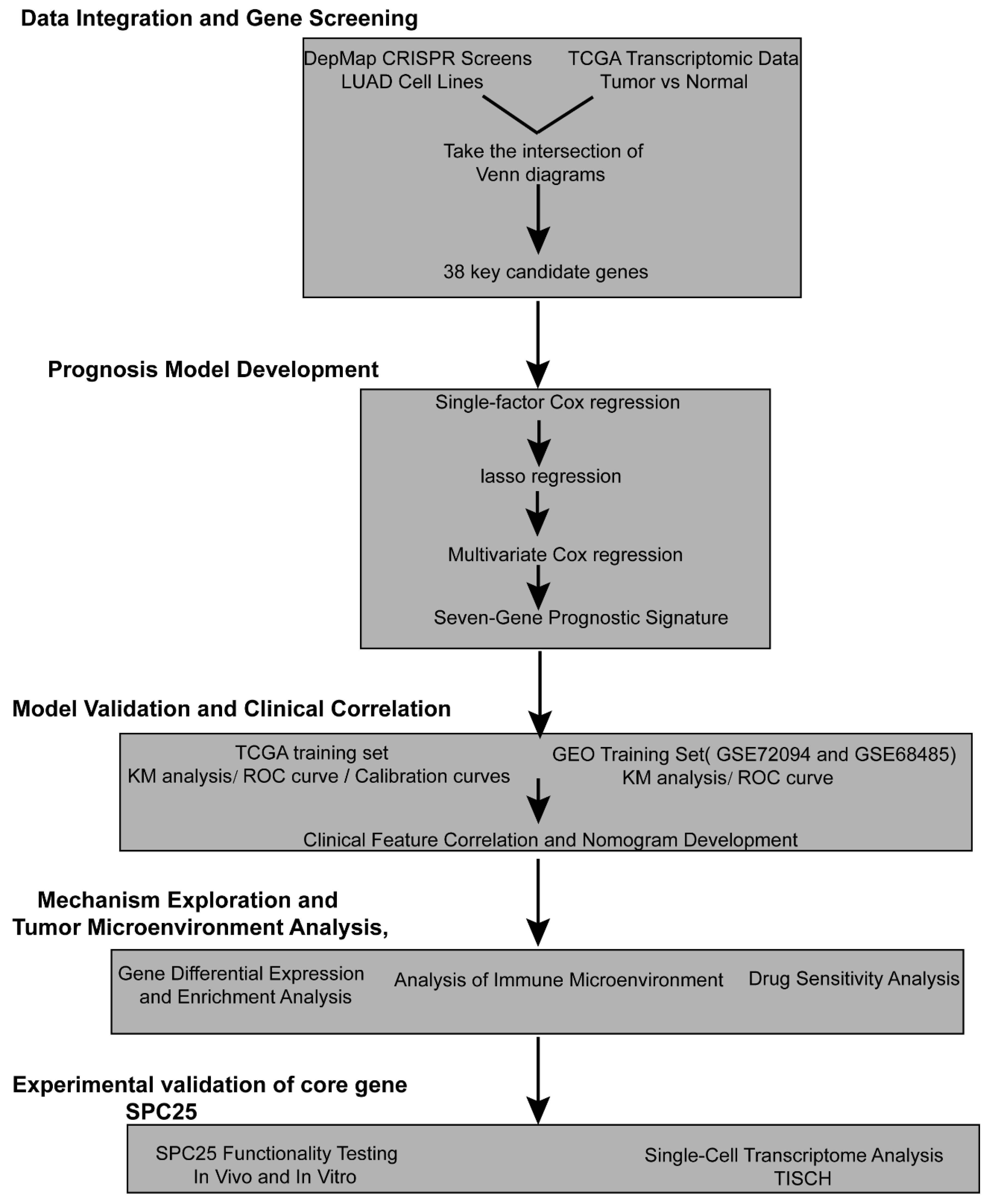 Cancers 17 03844 g001