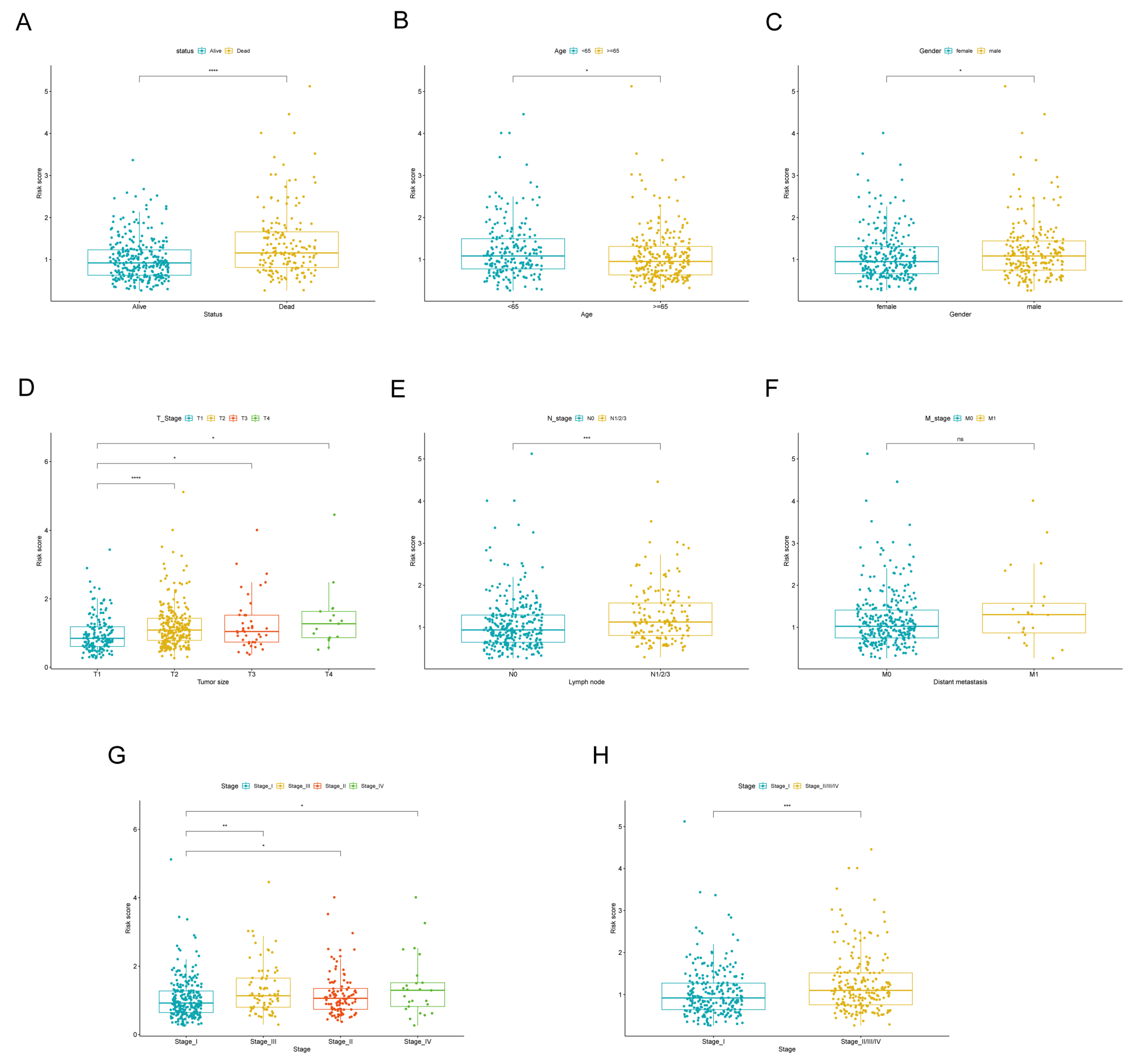 Cancers 17 03844 g005