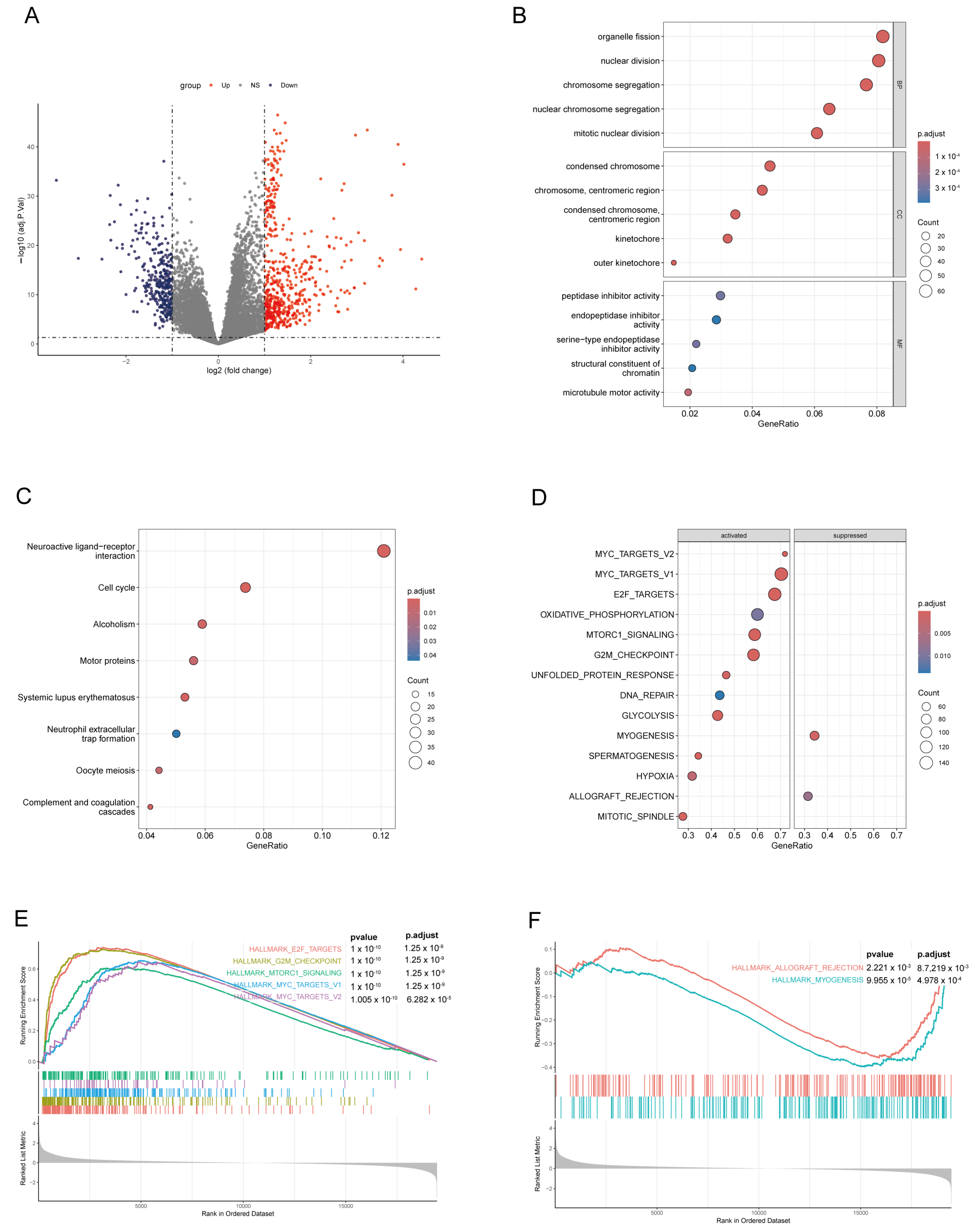 Cancers 17 03844 g006