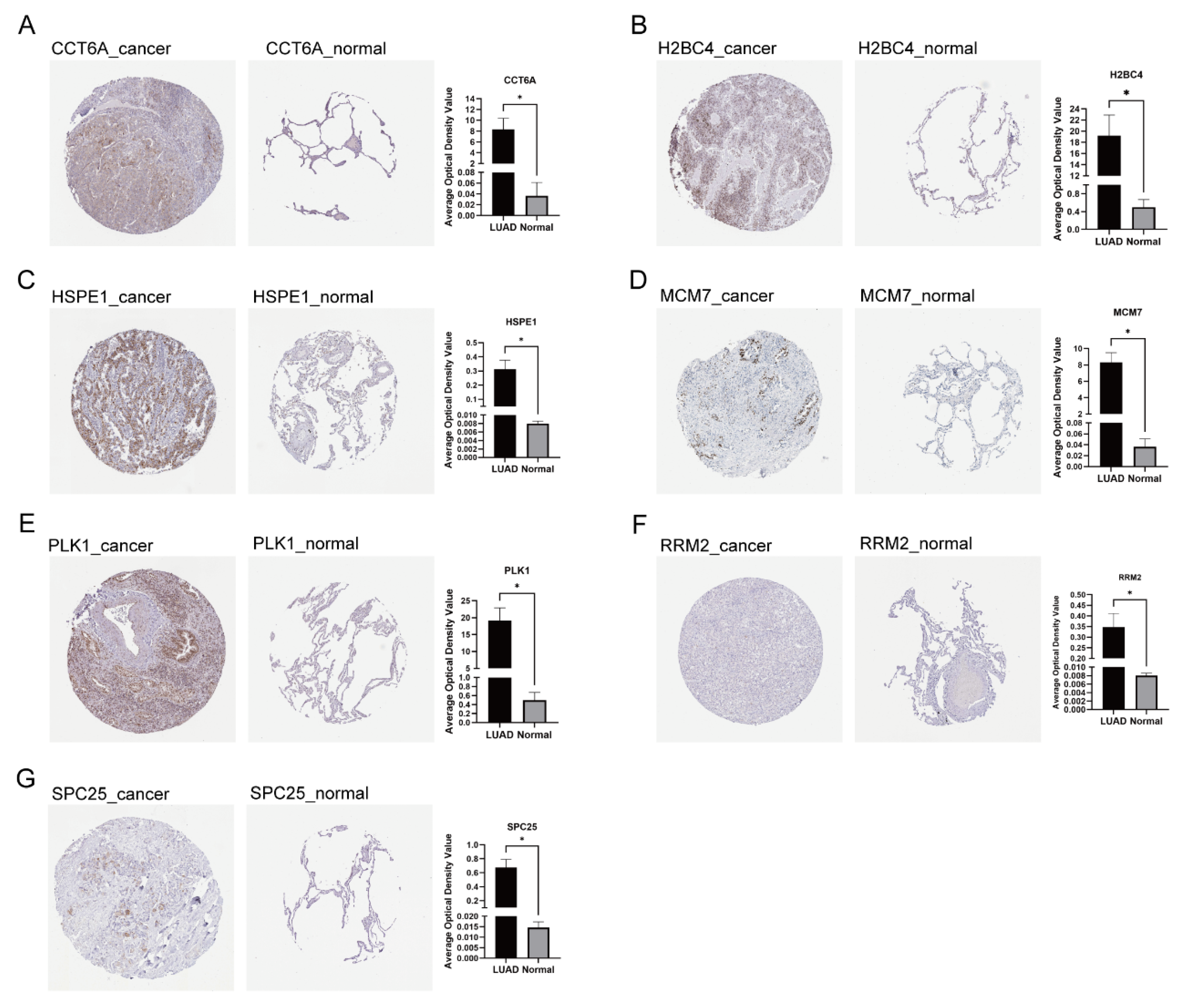 Cancers 17 03844 g009
