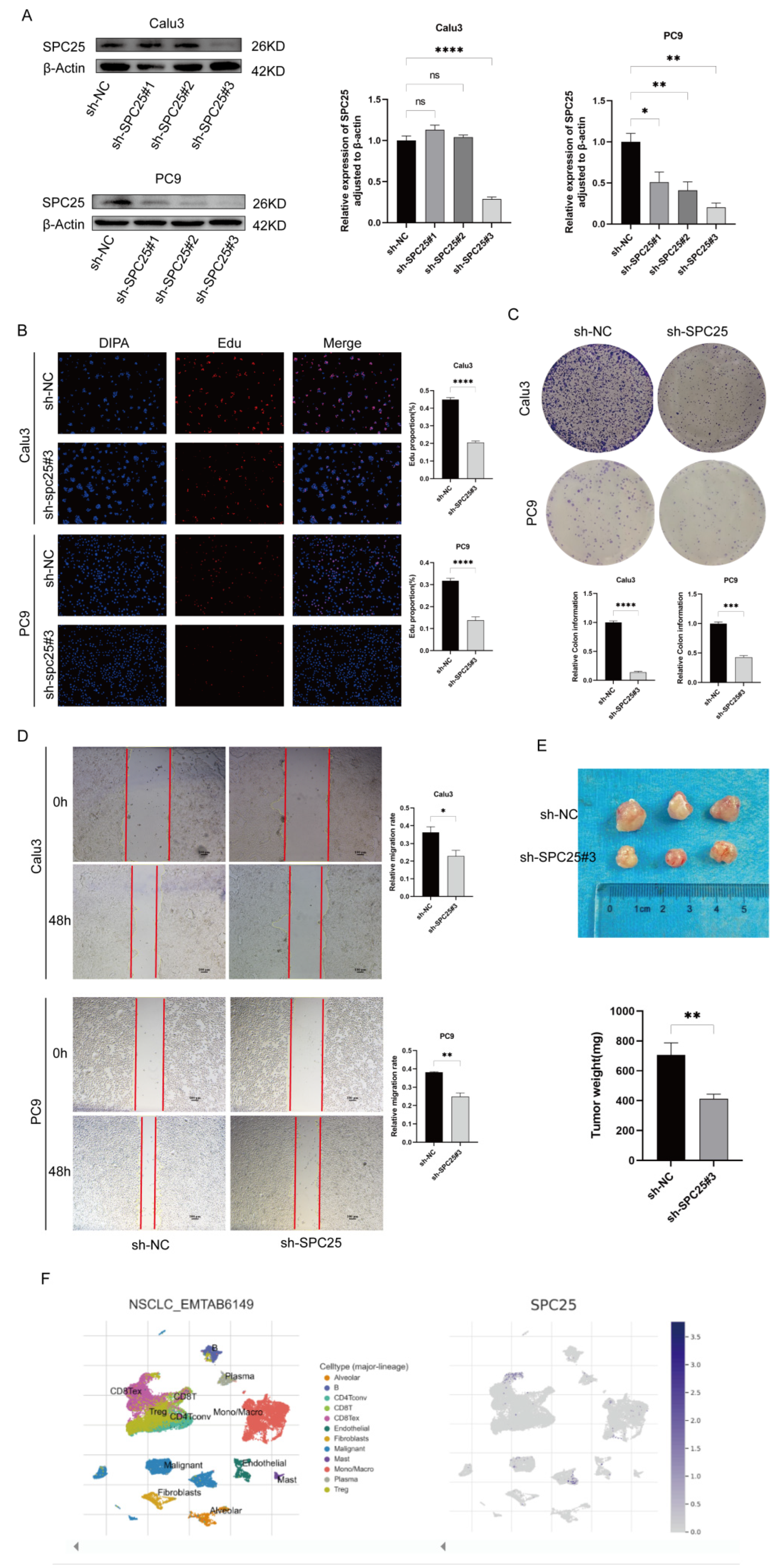 Cancers 17 03844 g011