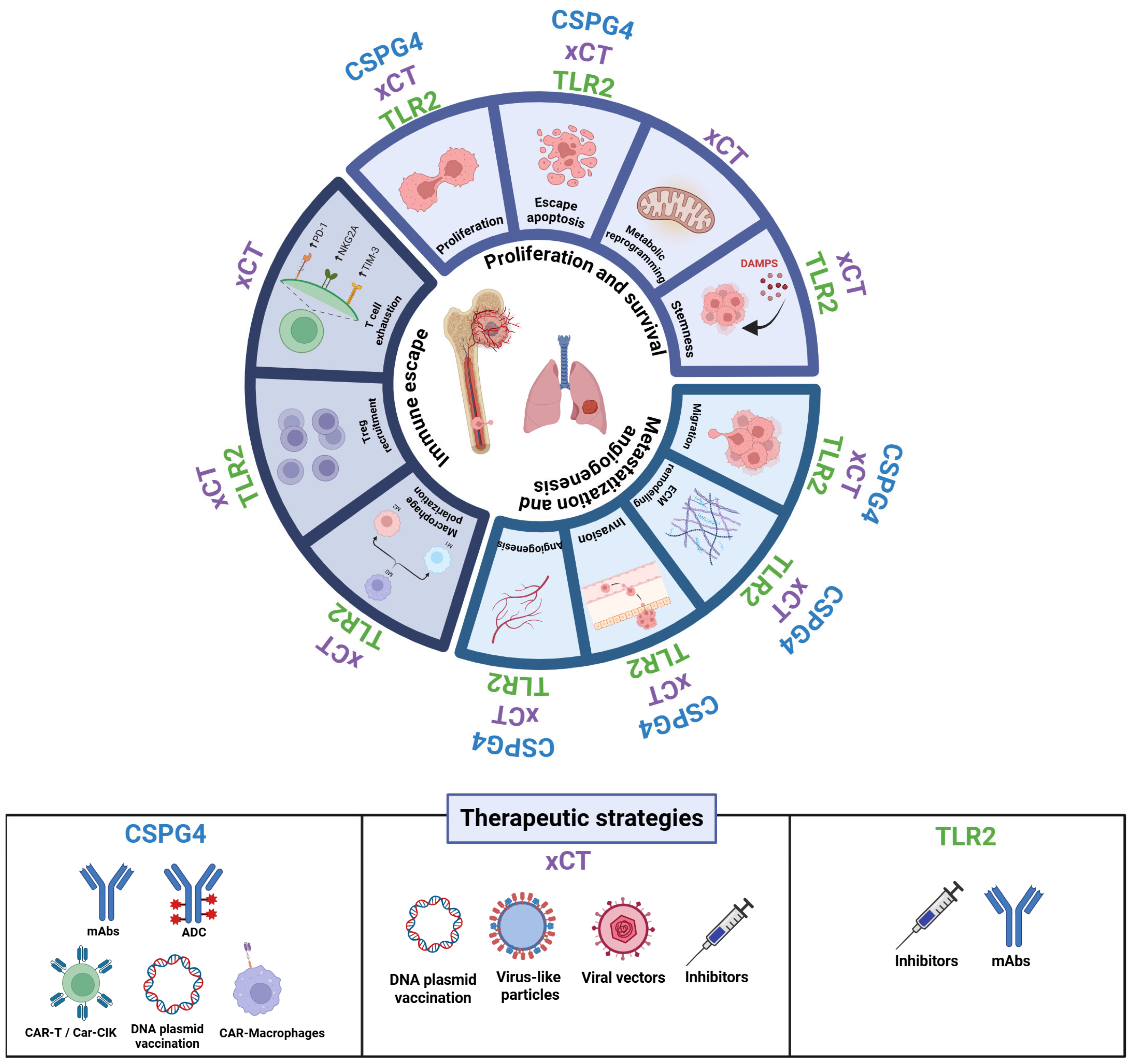 Cancers 17 03846 g002 Cancers 17 03846 g002
