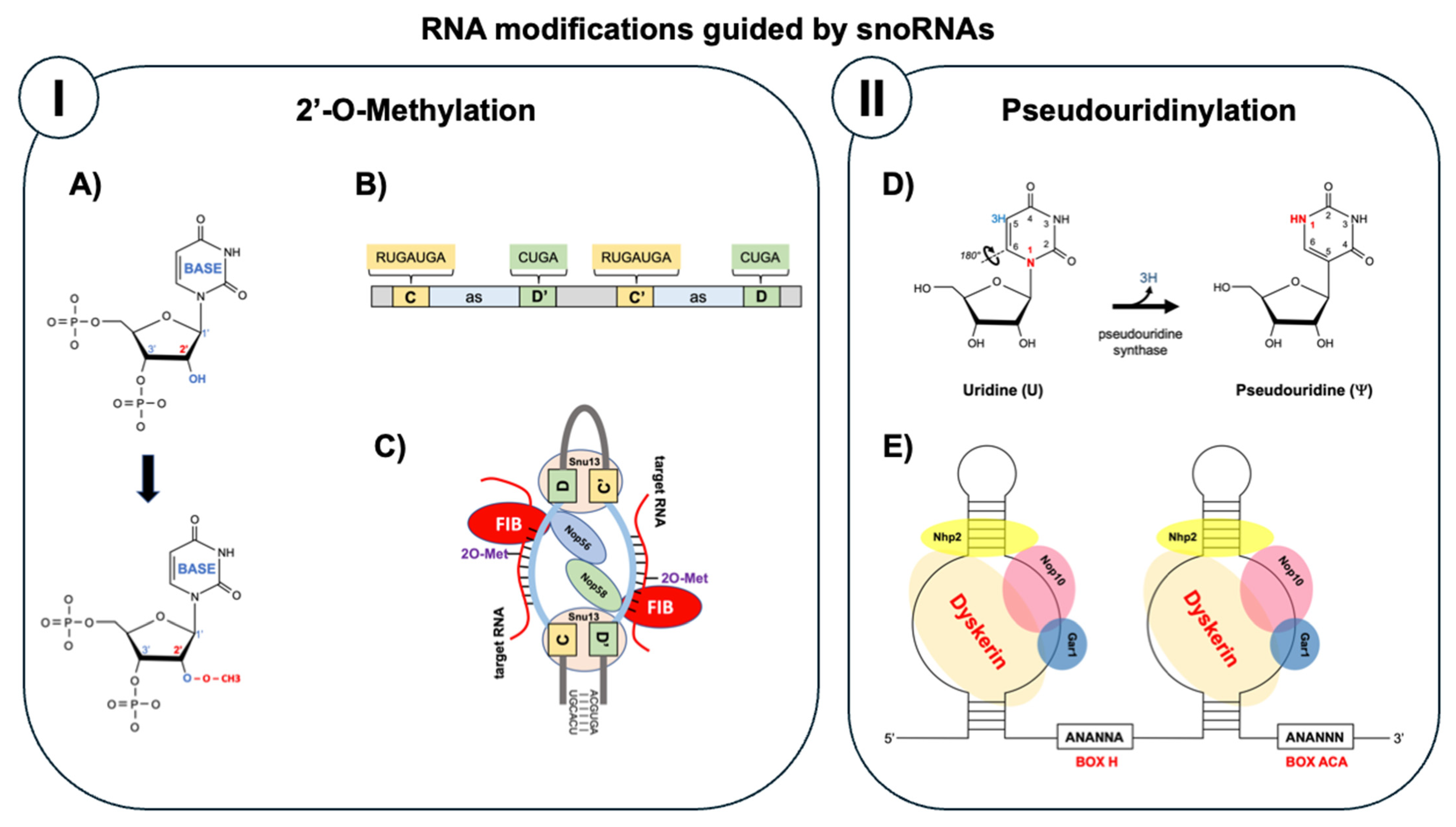 Cancers 17 03847 g001 Cancers 17 03847 g001