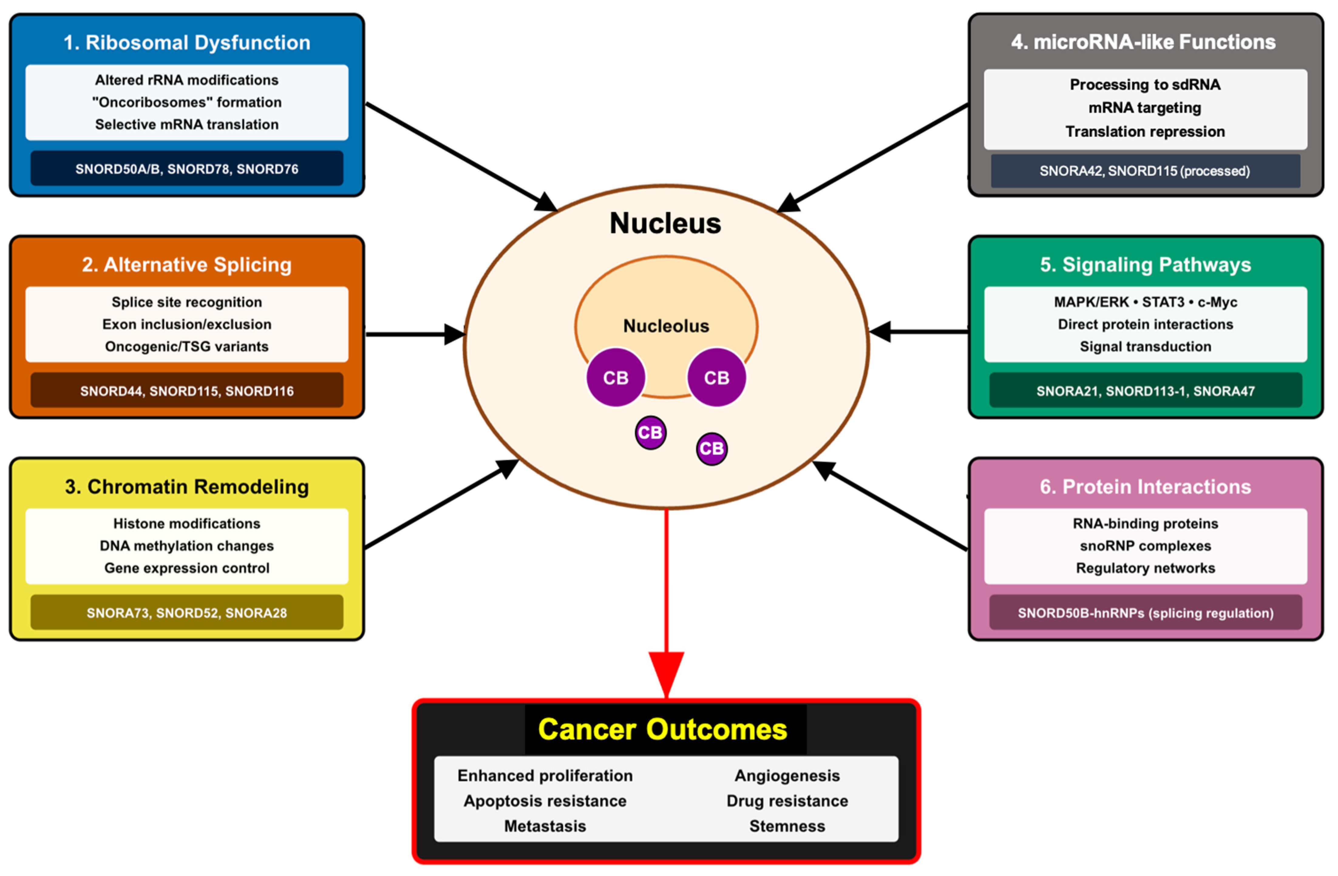 Cancers 17 03847 g002 Cancers 17 03847 g002