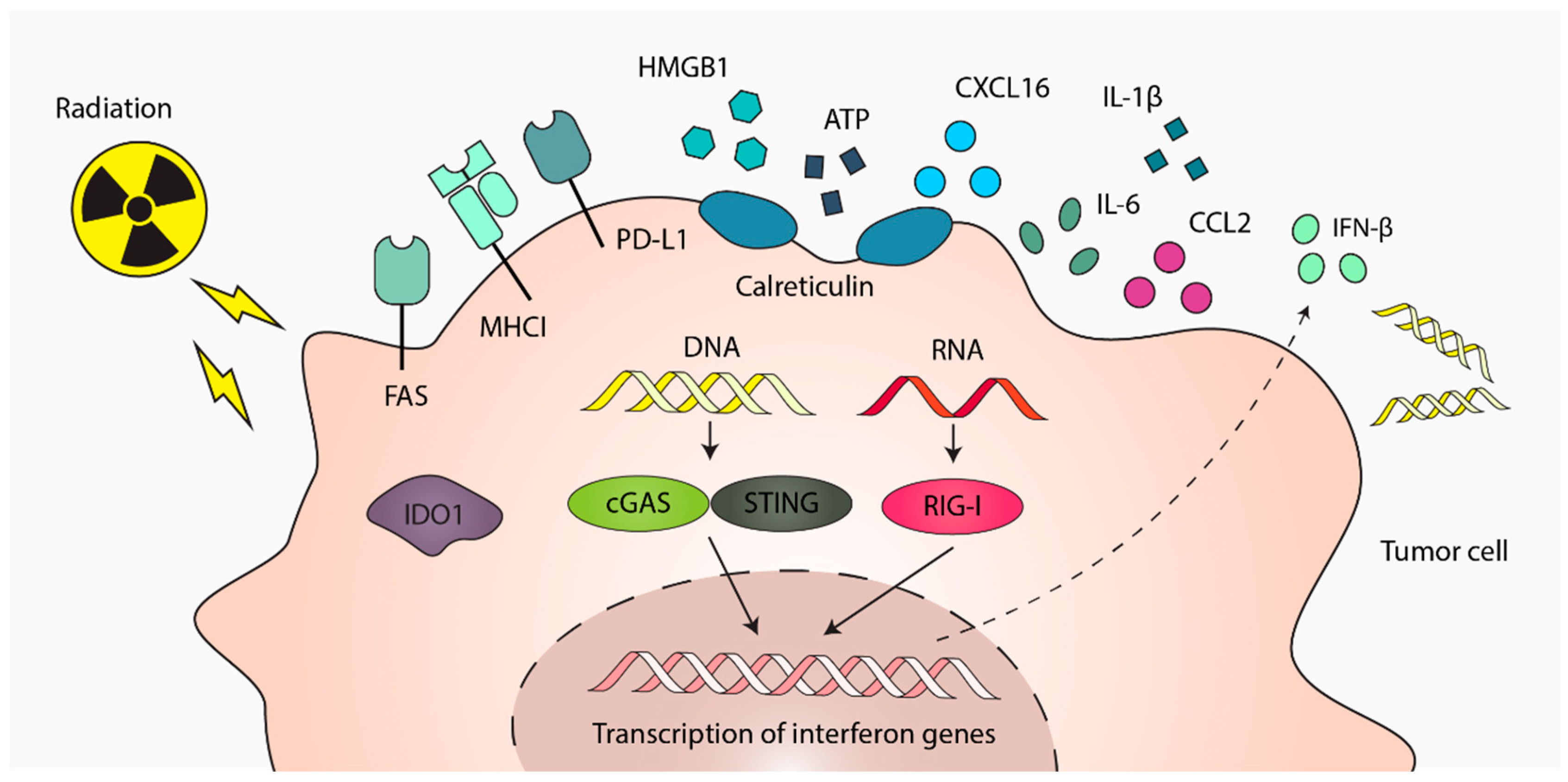 Cancers 17 03849 g001