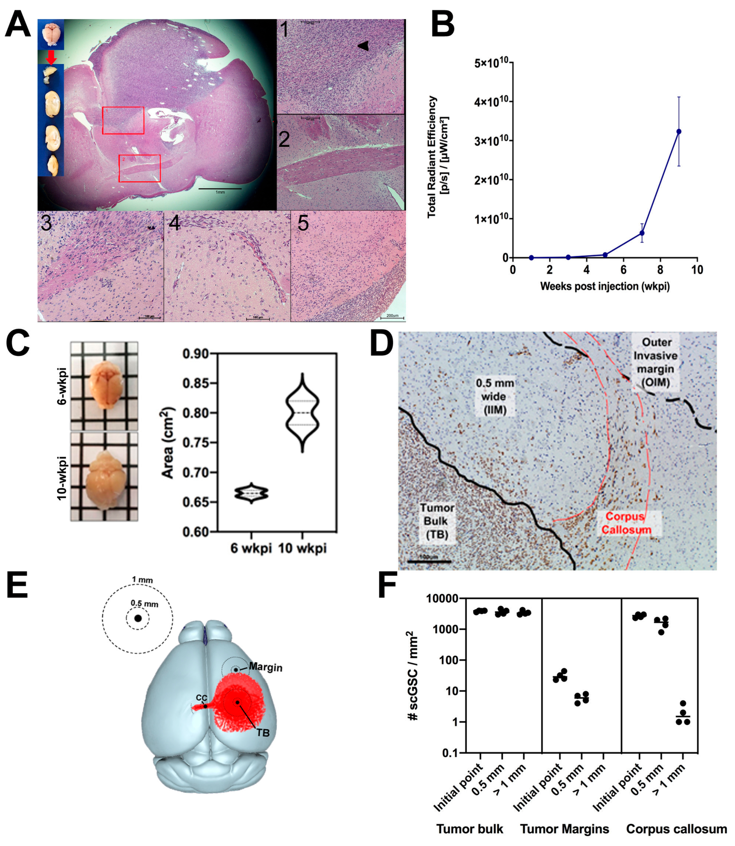 Cancers 17 03851 g001