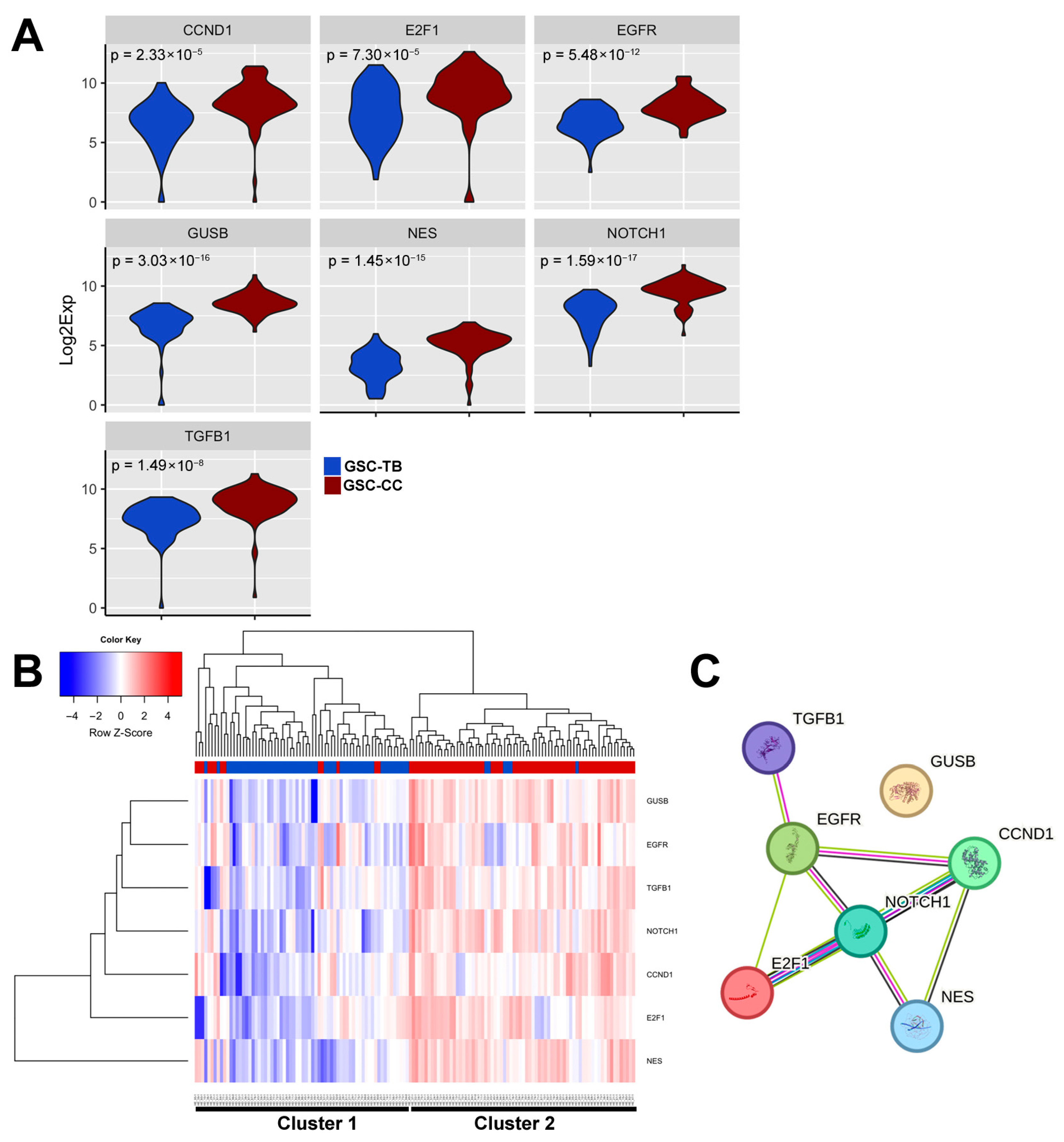 Cancers 17 03851 g005