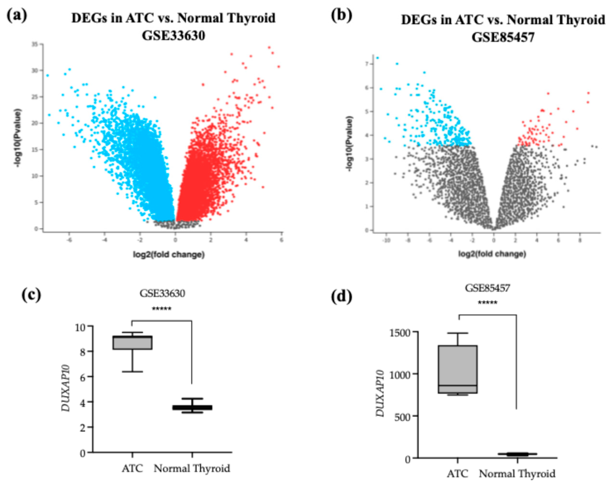 Cancers 17 03852 g001