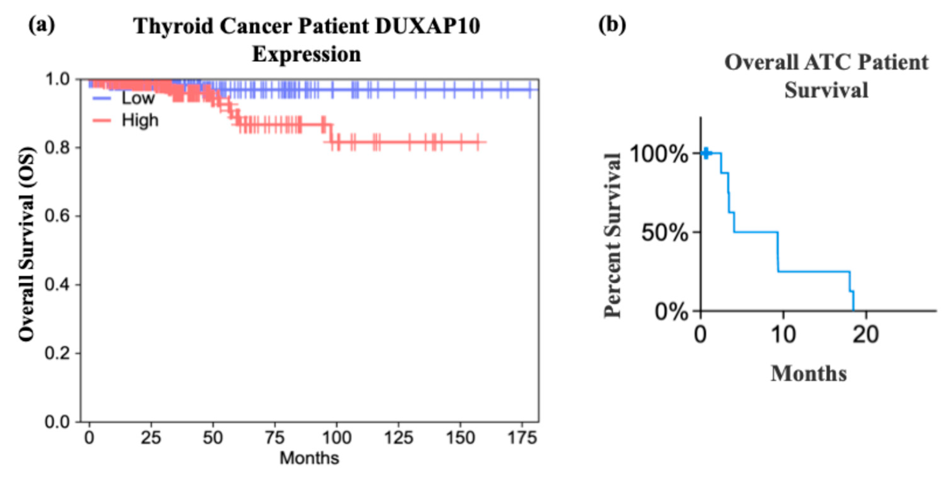 Cancers 17 03852 g002