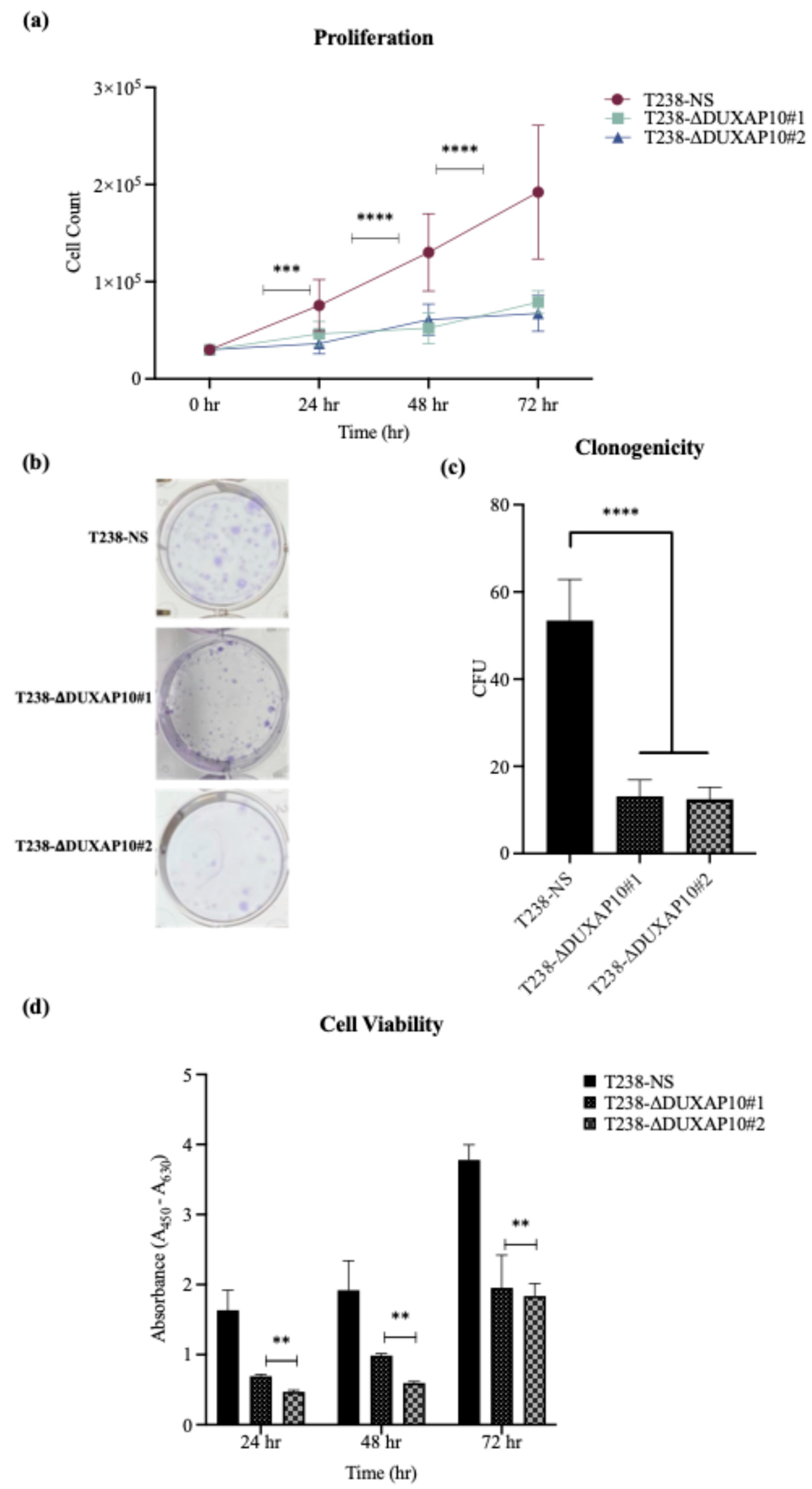 Cancers 17 03852 g007