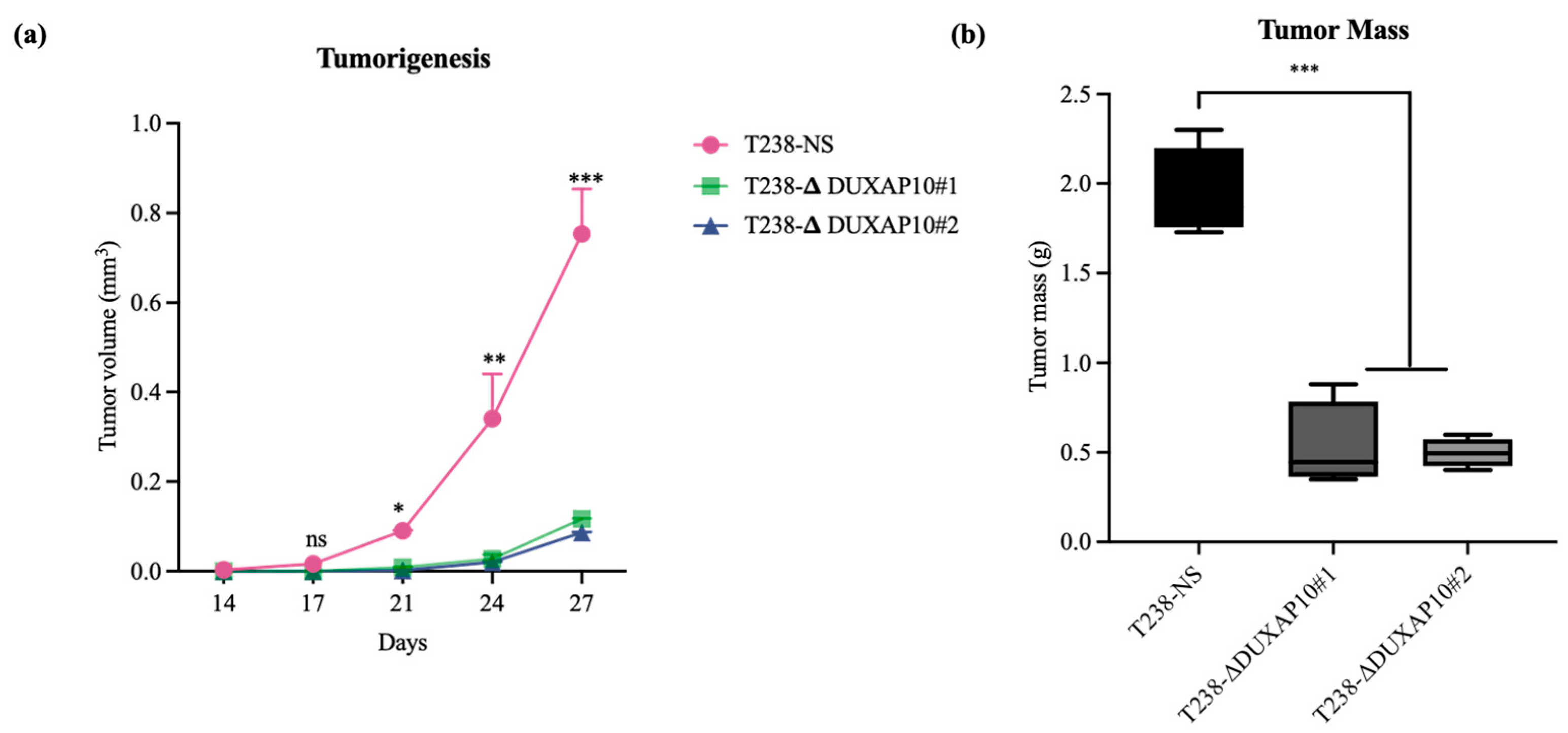 Cancers 17 03852 g008