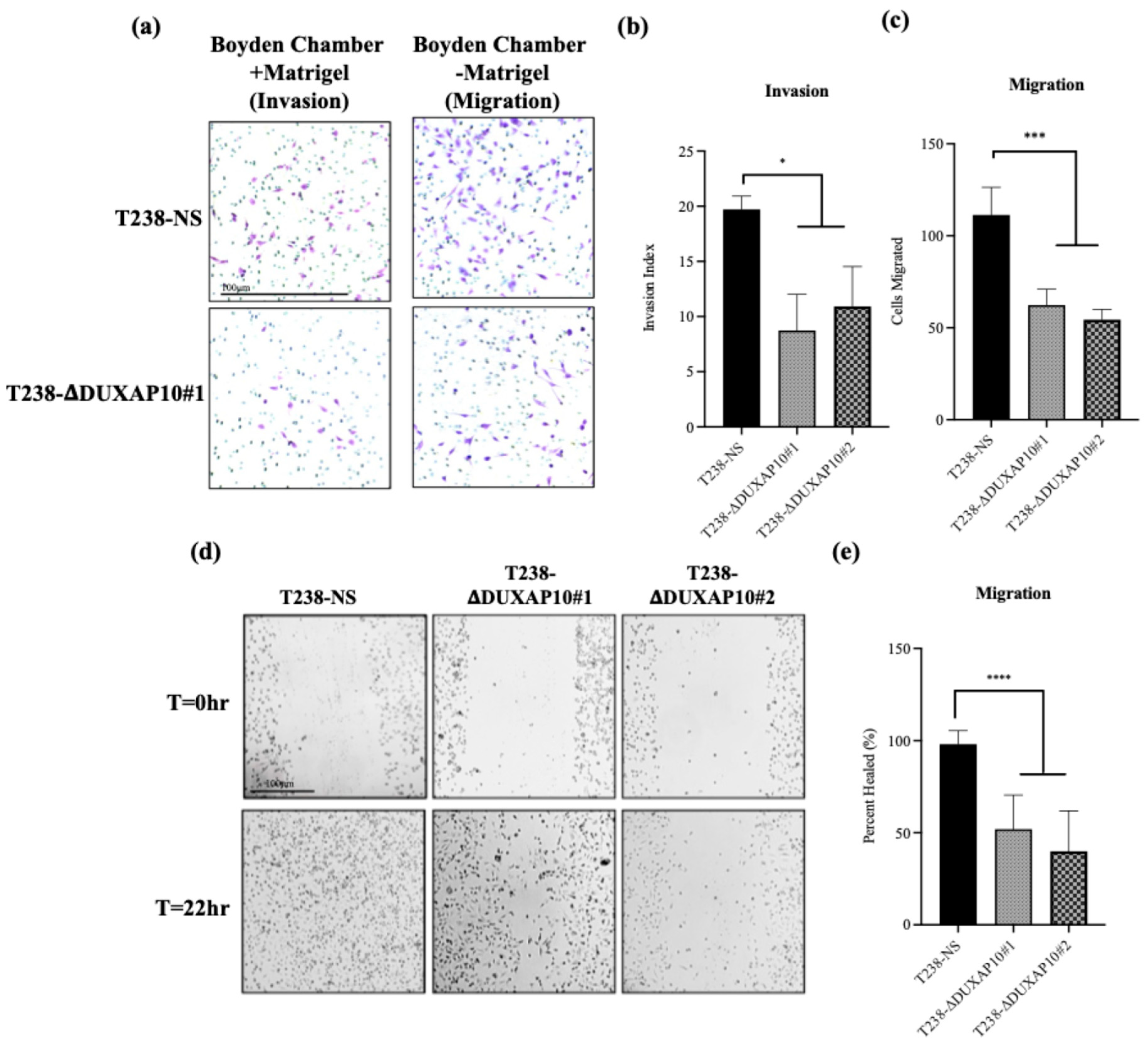 Cancers 17 03852 g010