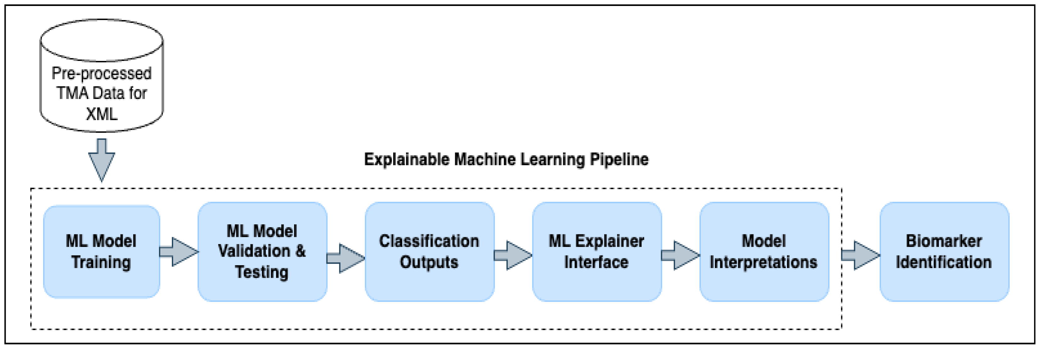Cancers 17 03853 g002