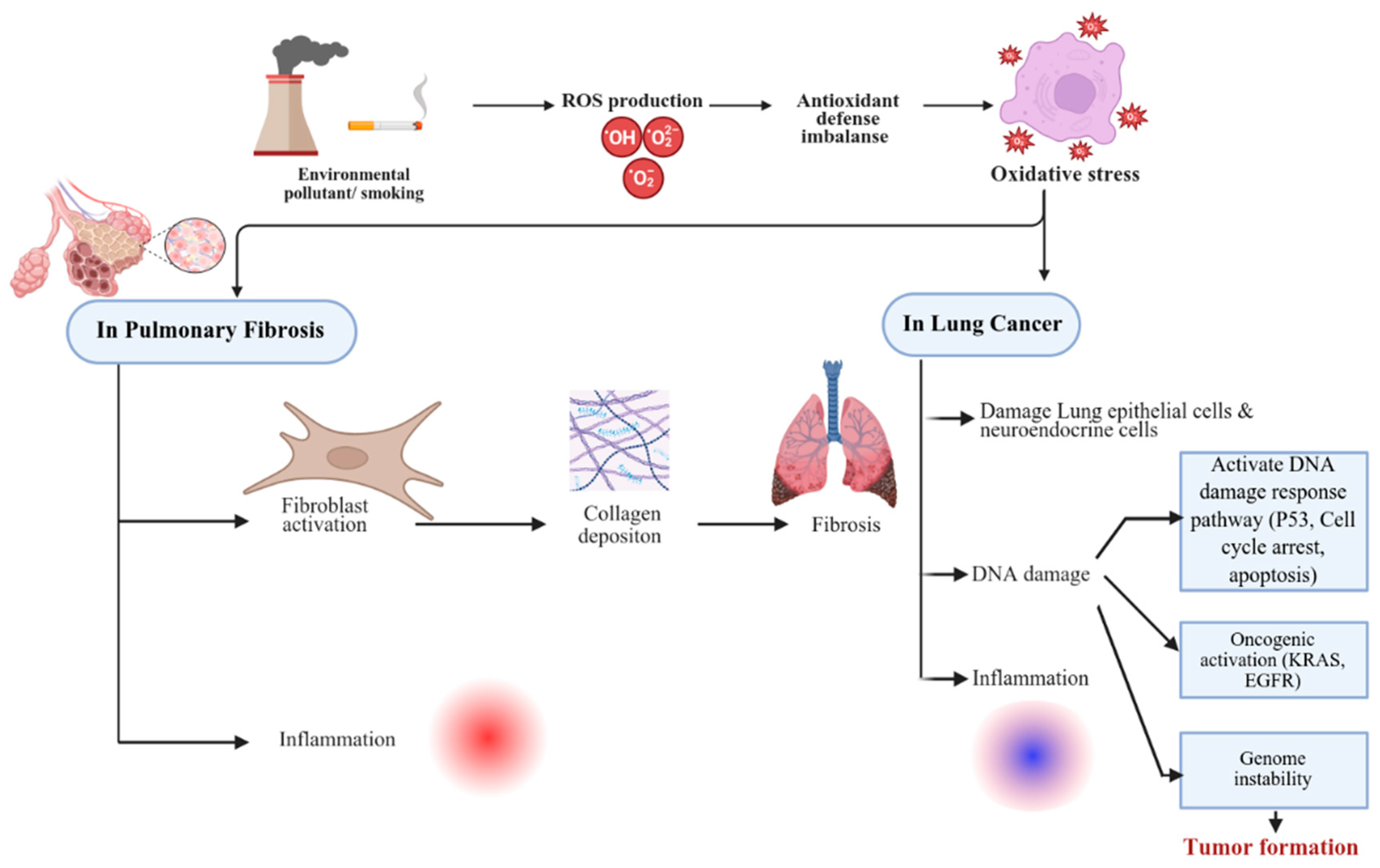 Cancers 17 03861 g001