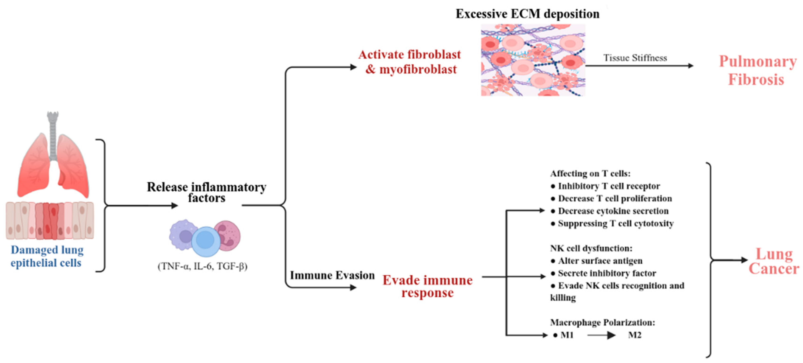 Cancers 17 03861 g002