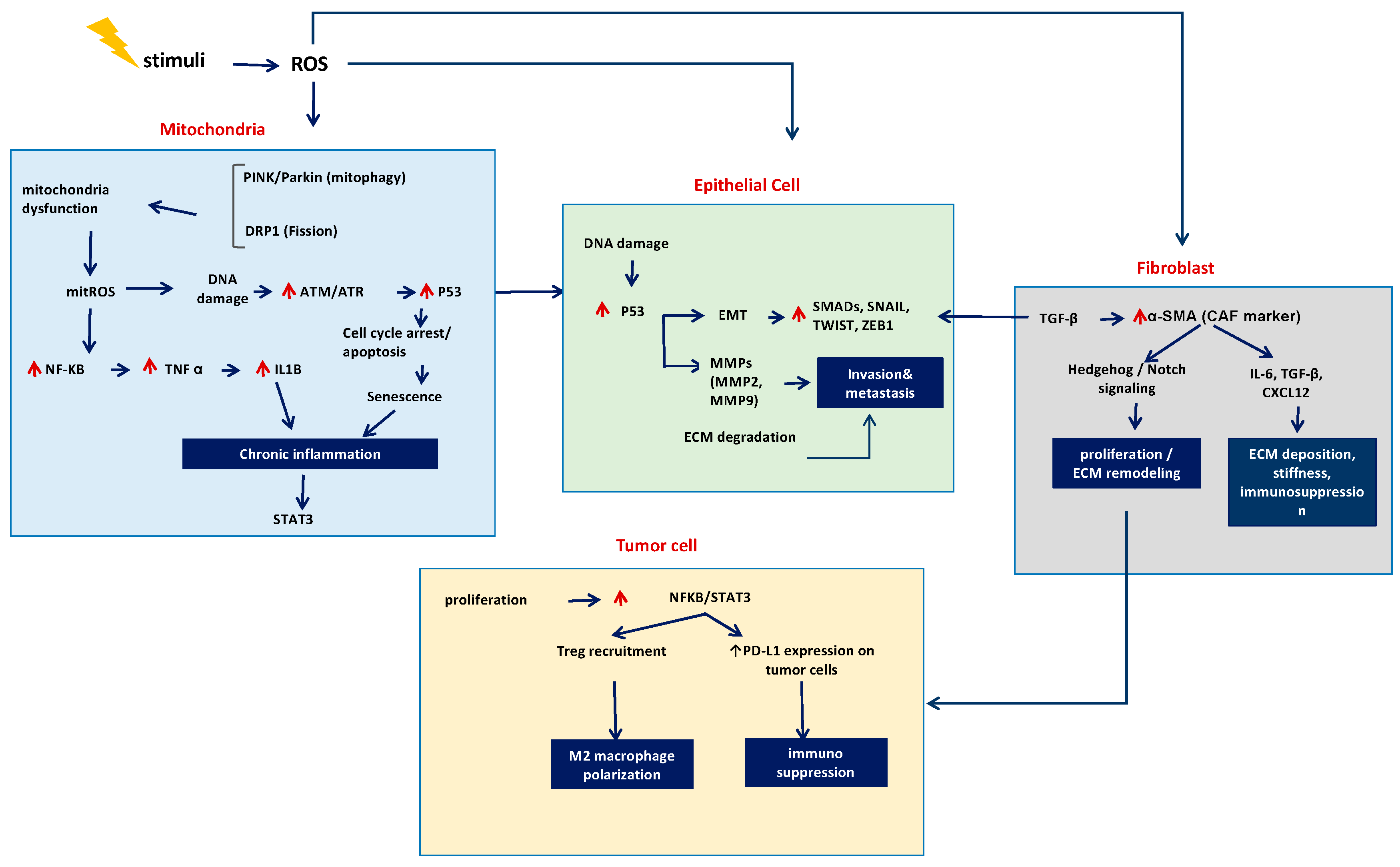 Cancers 17 03861 g004