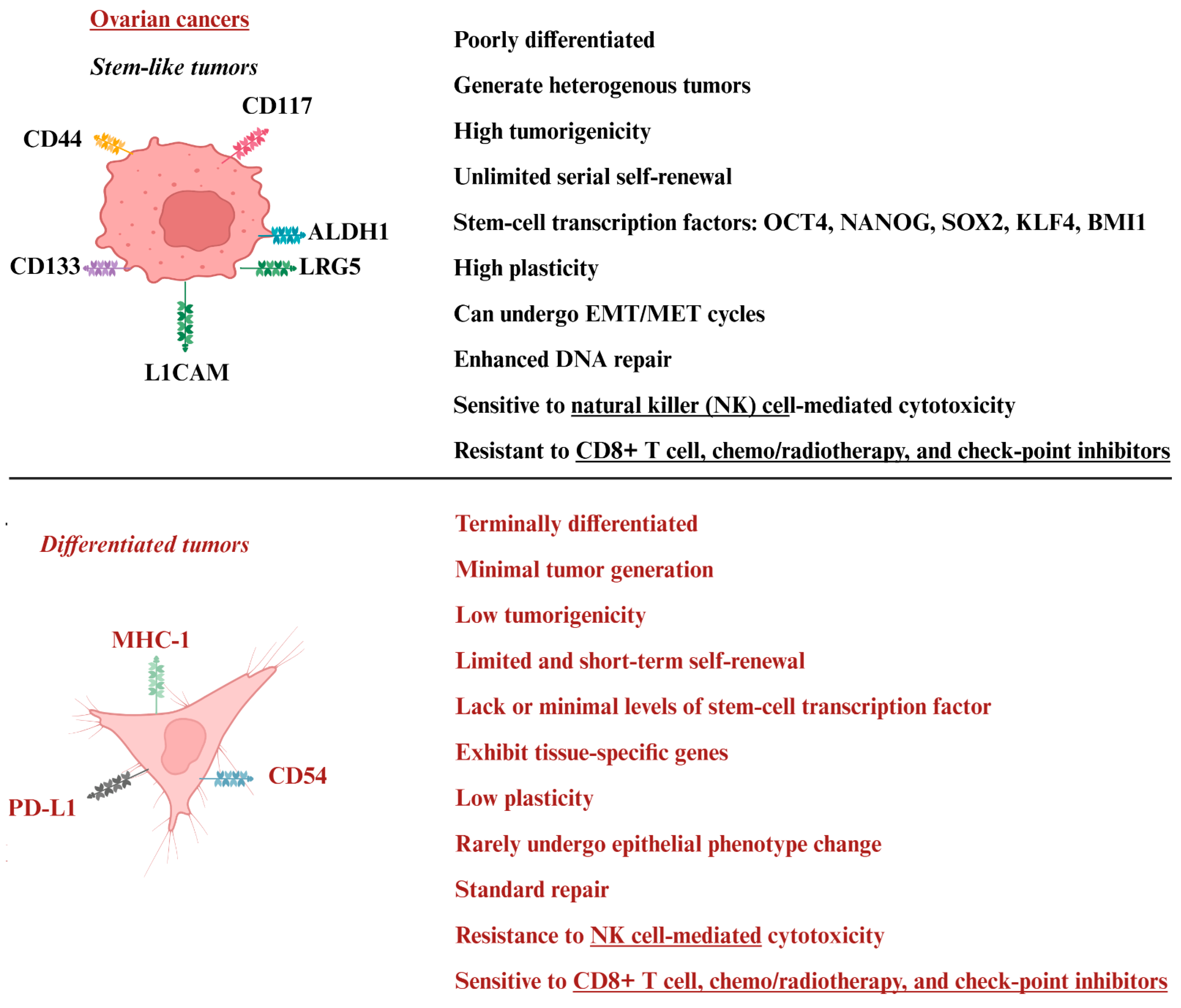 Cancers 17 03862 g001