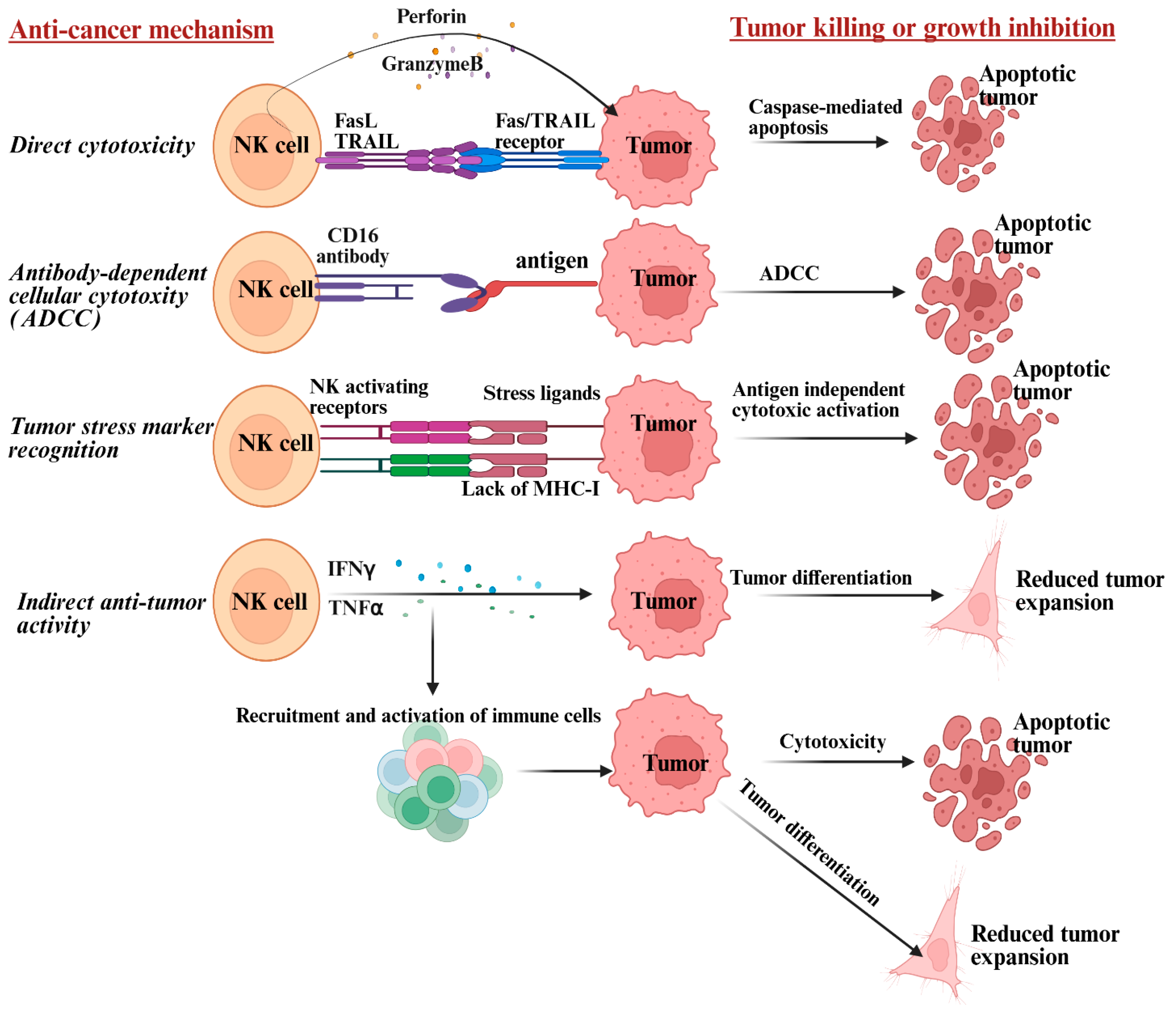 Cancers 17 03862 g002