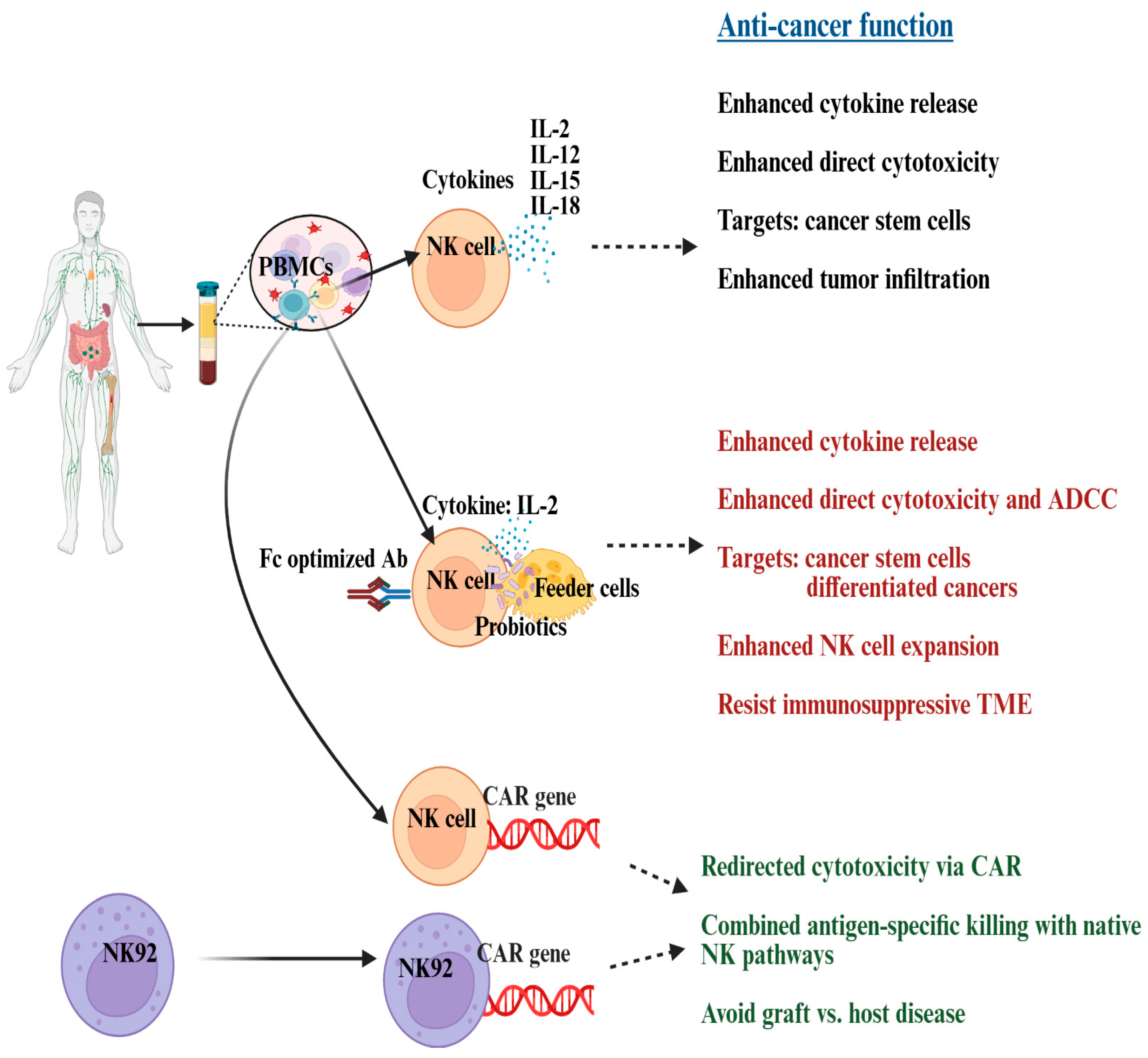 Cancers 17 03862 g003