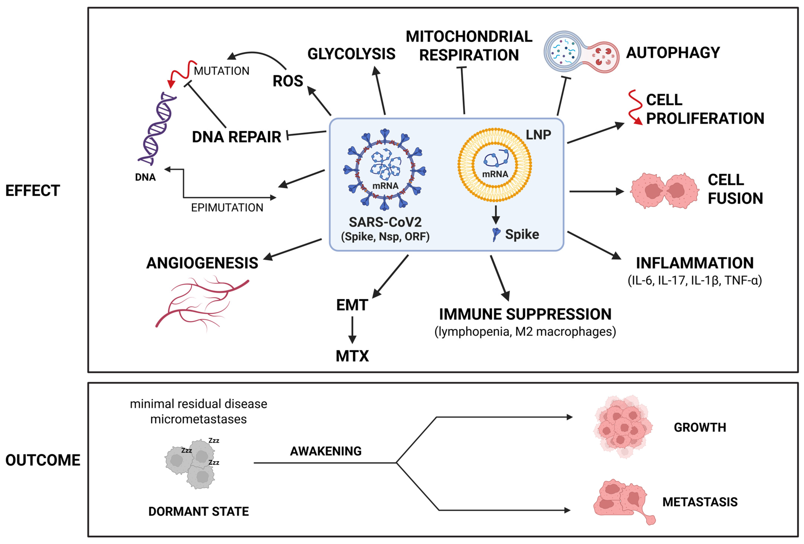 Cancers 17 03867 g001