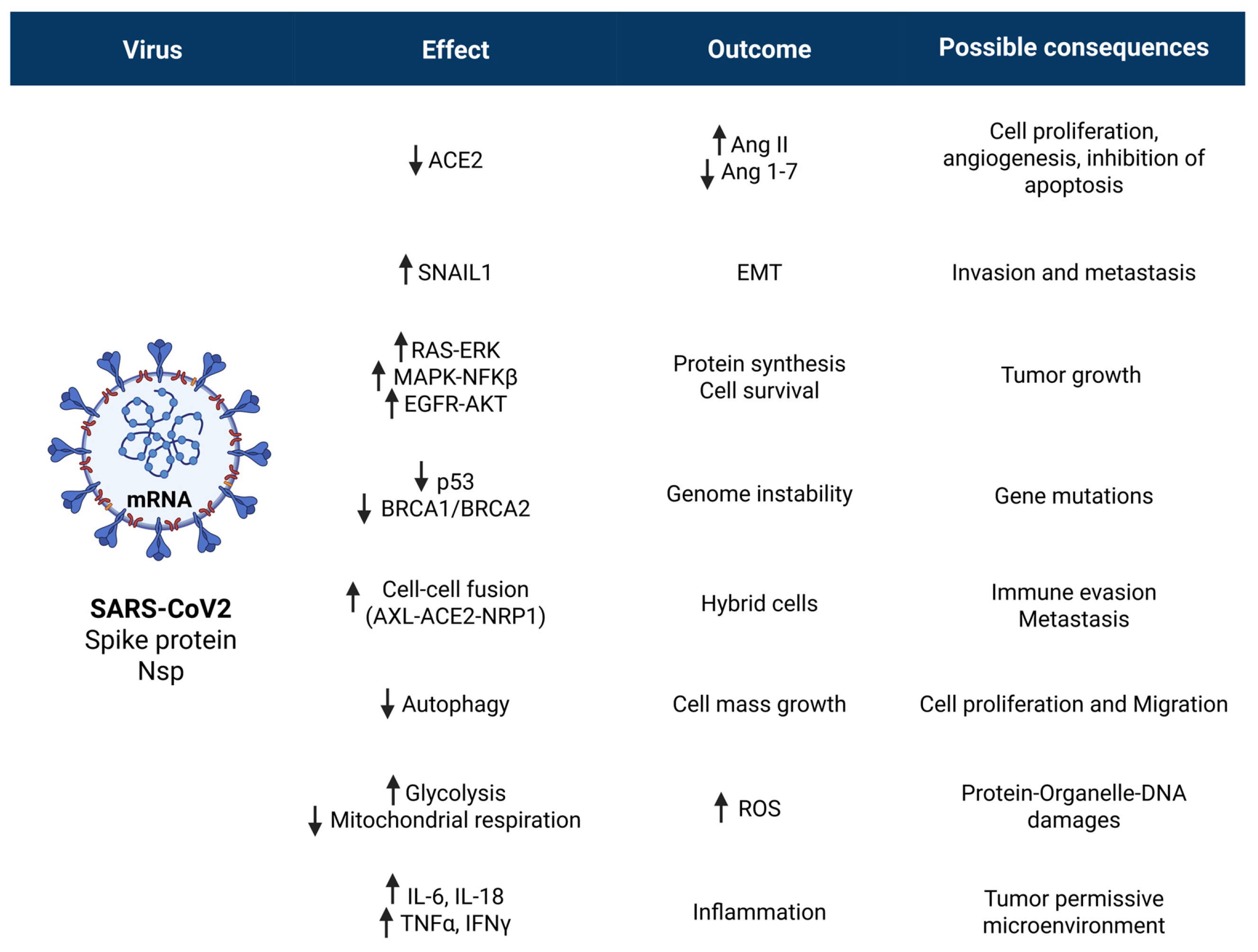 Cancers 17 03867 g002