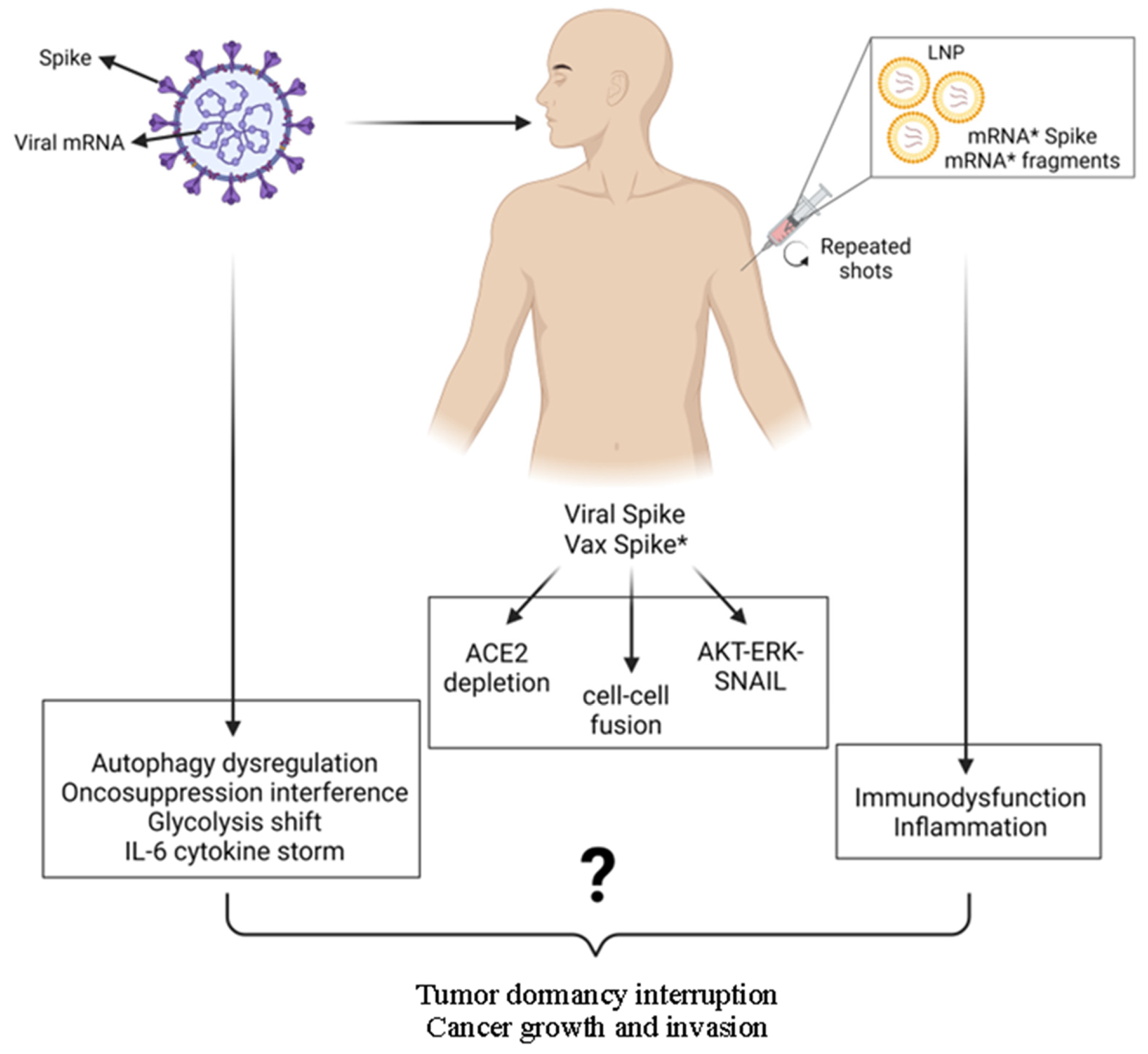 Cancers 17 03867 g004