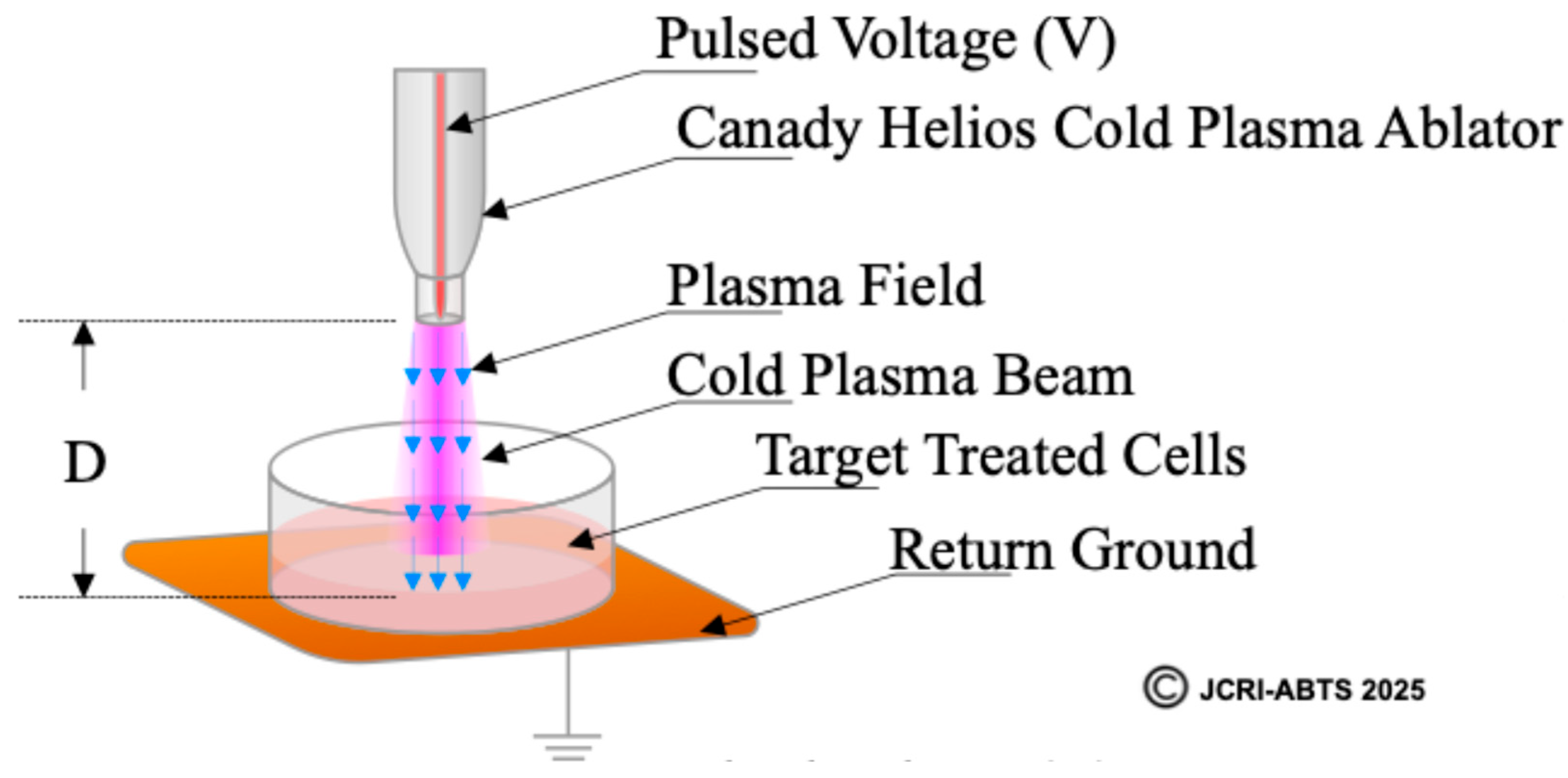 Cancers 17 03869 g002 Cancers 17 03869 g002