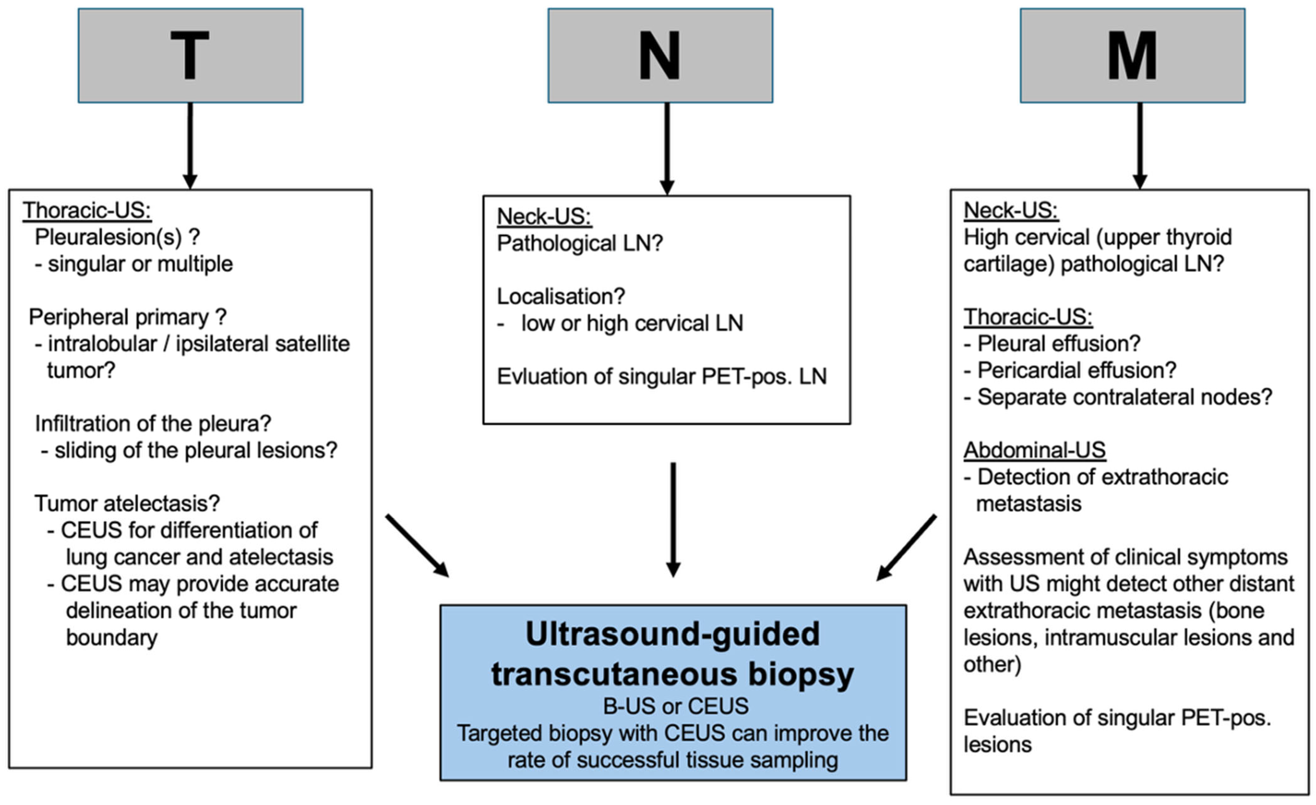 Cancers 17 03873 g005