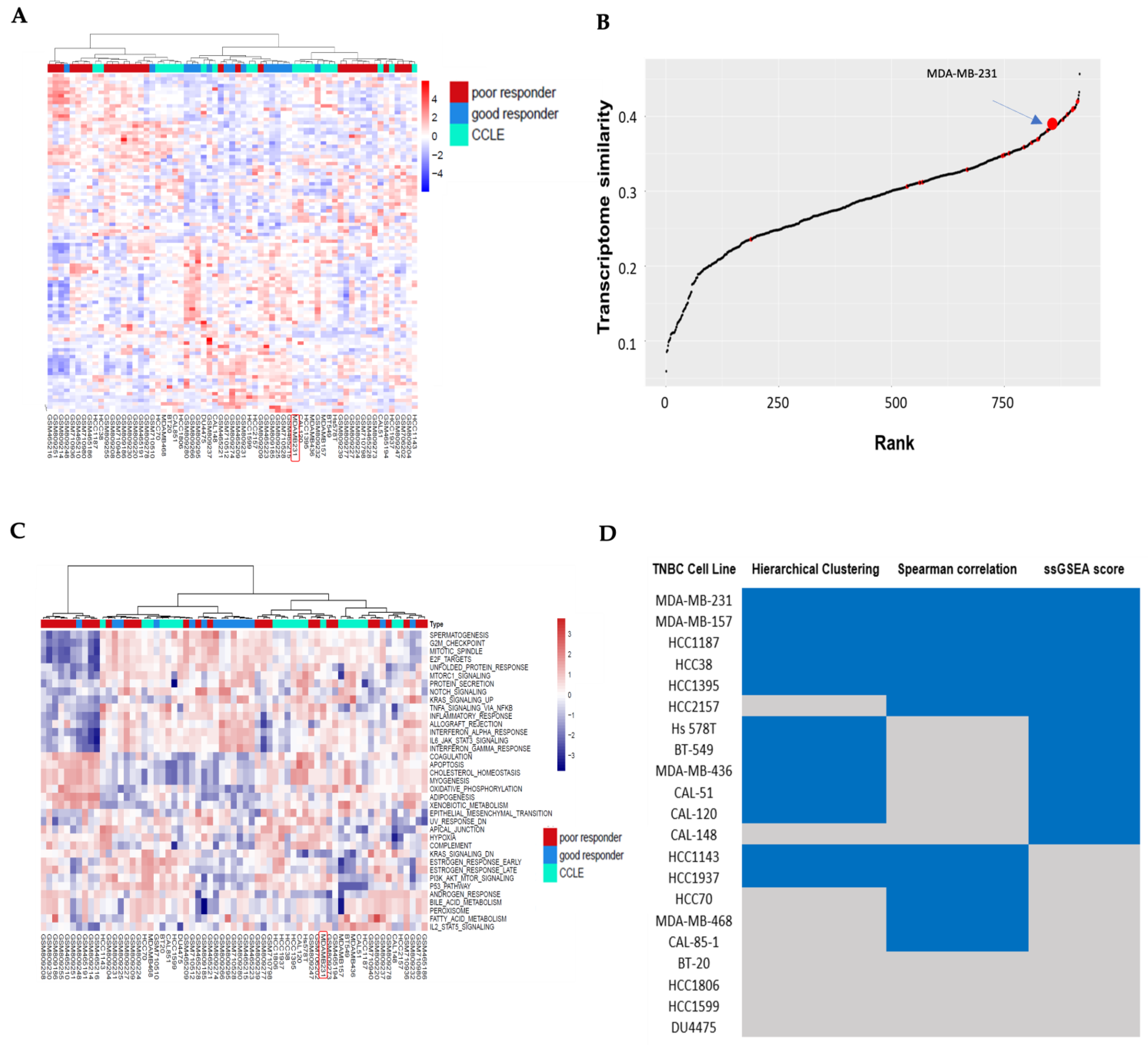 Cancers 17 03876 g001 Cancers 17 03876 g001
