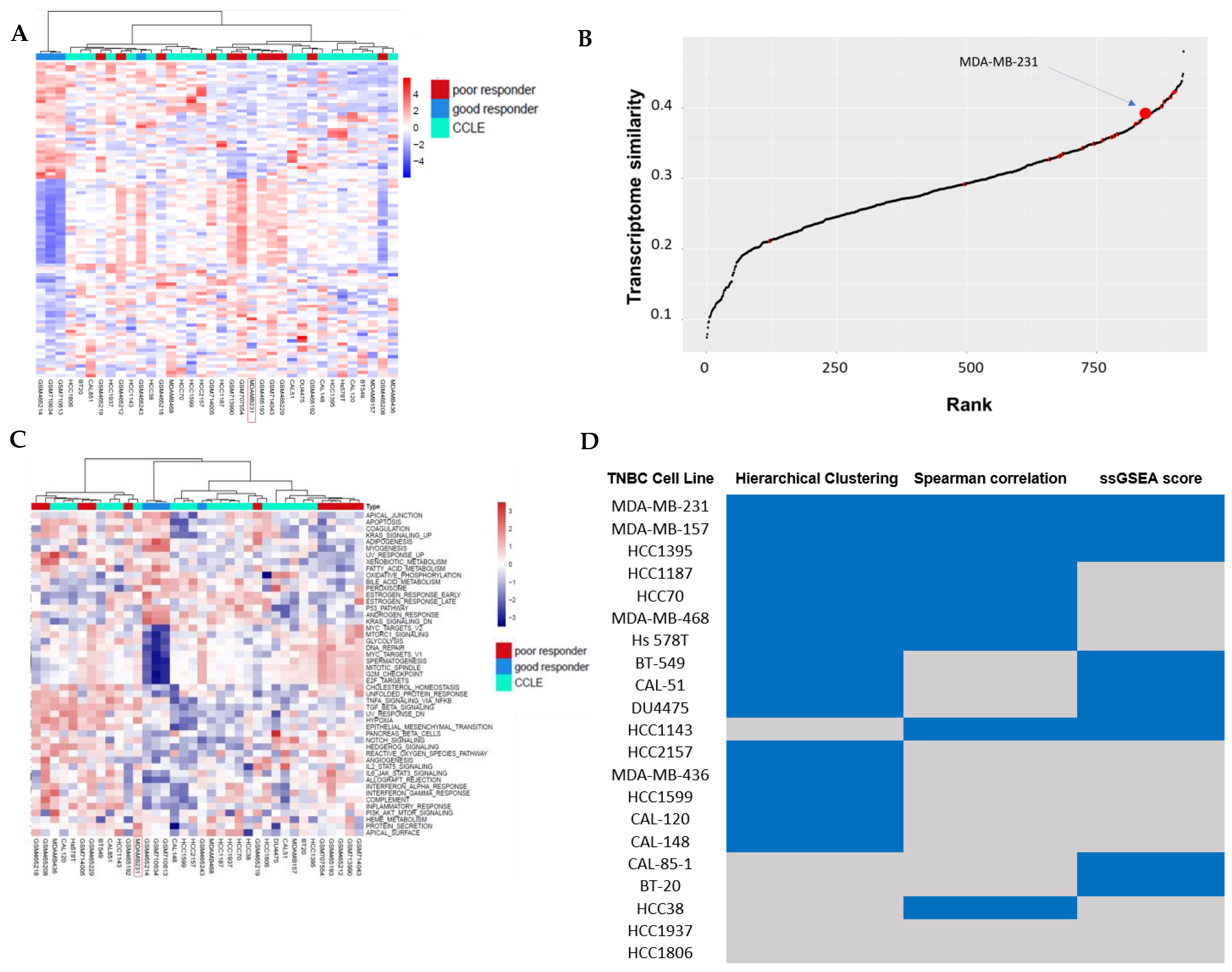 Cancers 17 03876 g002 Cancers 17 03876 g002