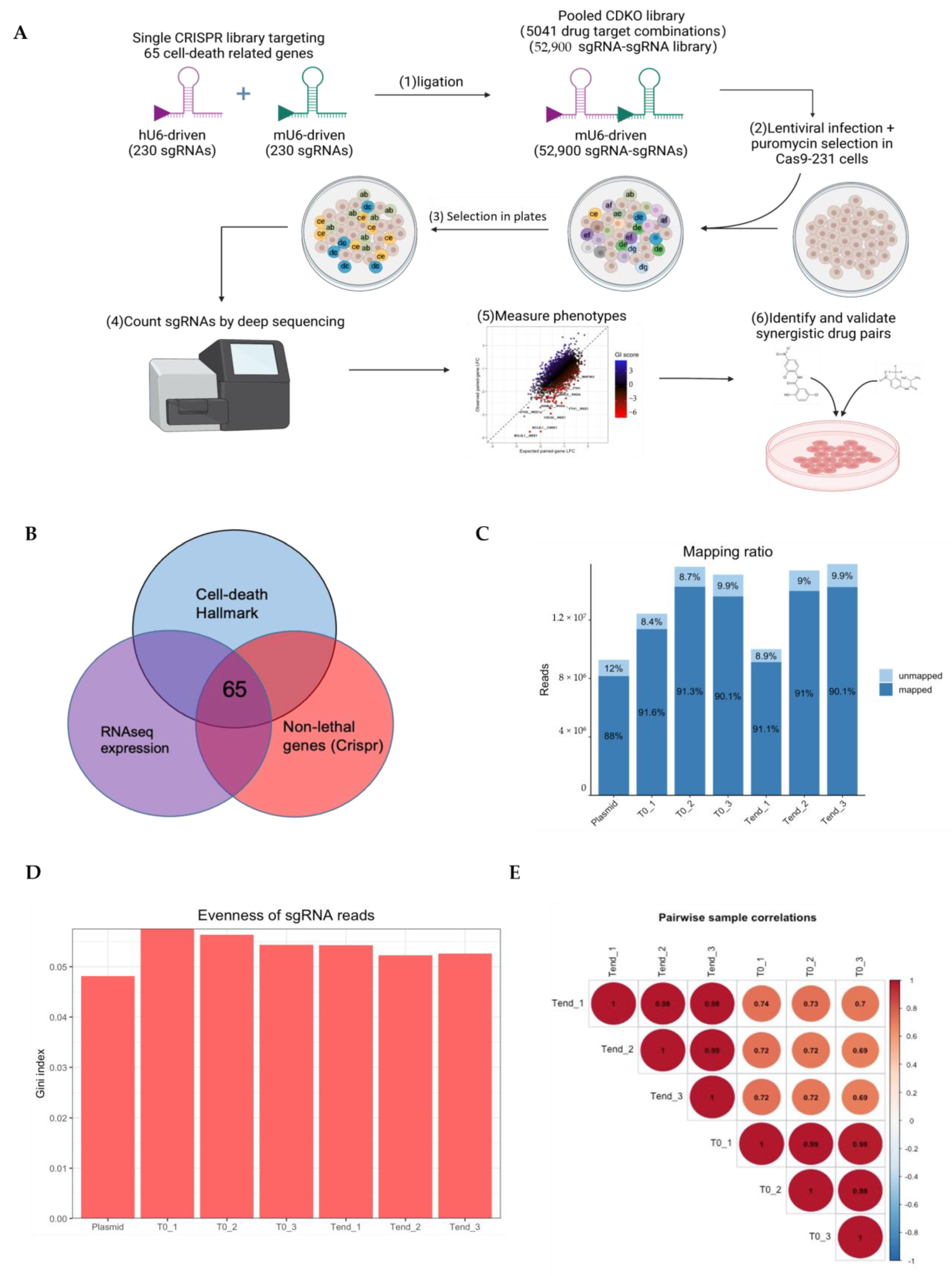 Cancers 17 03876 g006 Cancers 17 03876 g006