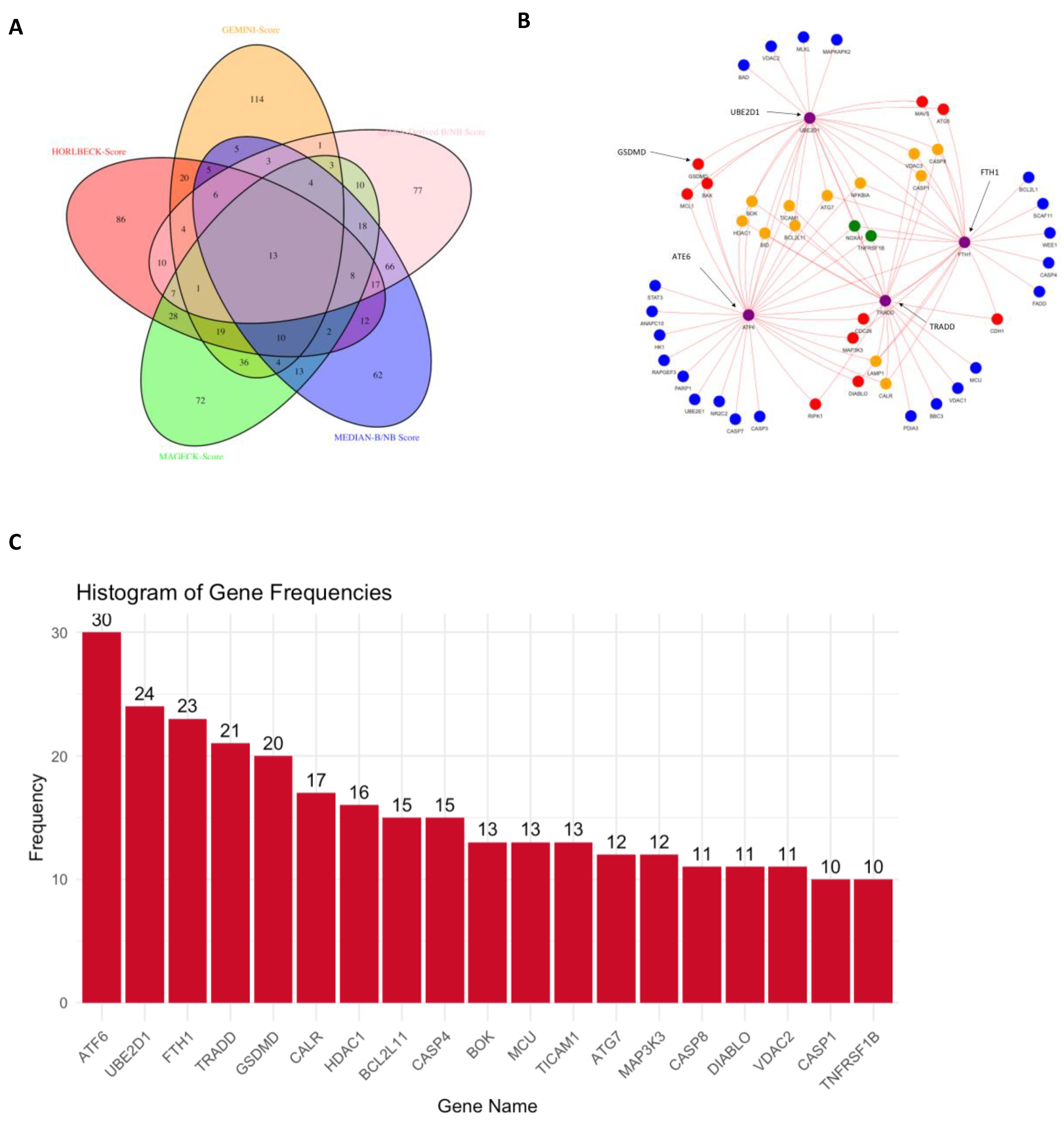 Cancers 17 03876 g007 Cancers 17 03876 g007